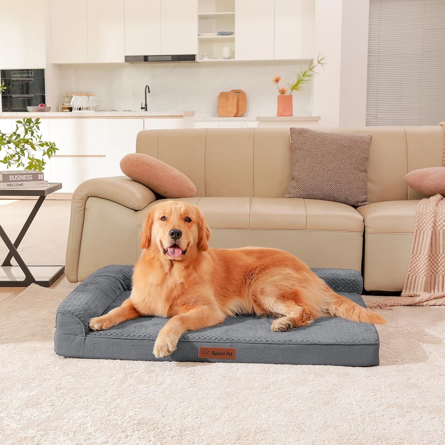 Orthopedic Dog Bed, 3 Inch Memory Foam Dog Beds for Large Dogs, Washable Removable Cover, Nonskid Bottom, Waterproof Pet Couch for Indoor, Outdoor or Car Use, 44x32 Inches XXL Dark Grey