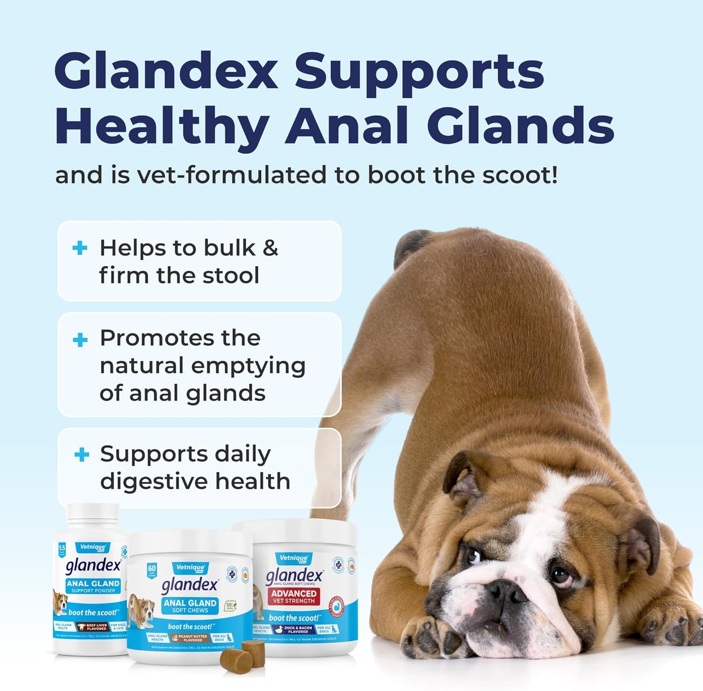 Vetnique Glandex Anal Gland Soft Chew Treats with Pumpkin for Dogs Digestive Enzymes, Probiotics Fiber Supplement for Dogs Boot The Scoot (Advanced Strength Duck/Bacon Chews (Vegetarian), 60 Ct)