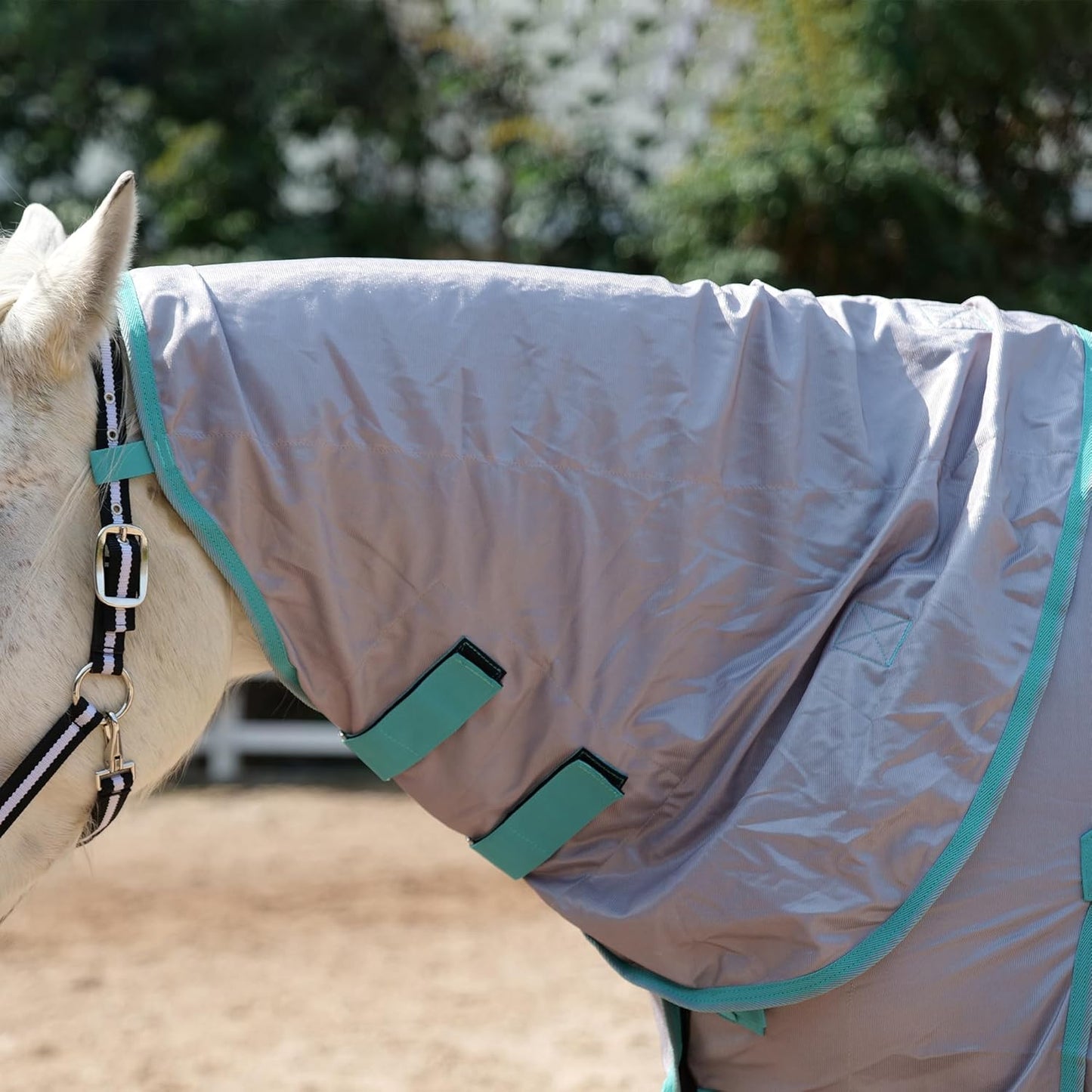 Horse Fly Sheet with Detachable Neck Cover & Belly Wrap, Adjustable Fly Sheet for Horses, Ventilated Airflow Mesh Equine Cooling Summer Flysheet Grey 78