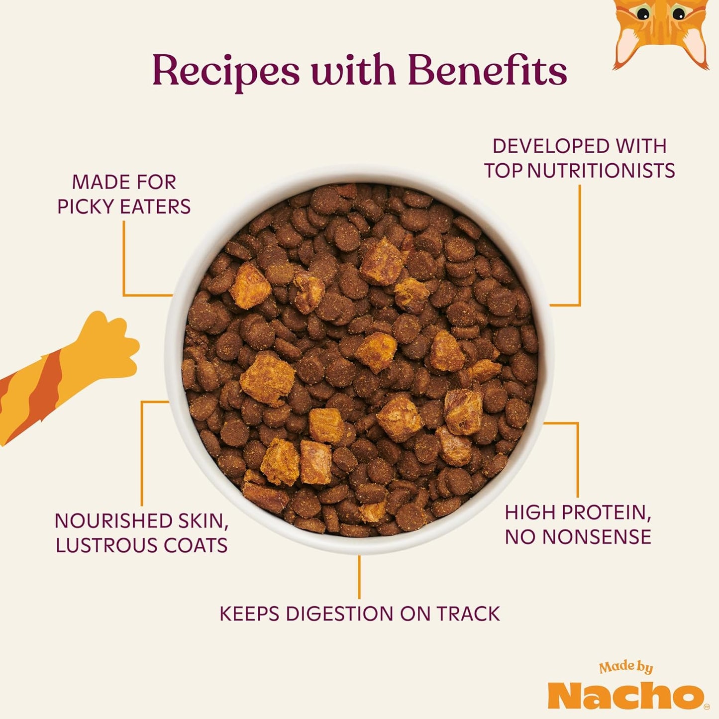 Made by Nacho Dry Cat Kibble 10lb Bag, High Protein Premium Cat Food with Freeze Dried Pieces, Sustainably-Caught Salmon, Whitefish & Pumpkin, Limited Ingredients, Single Bag