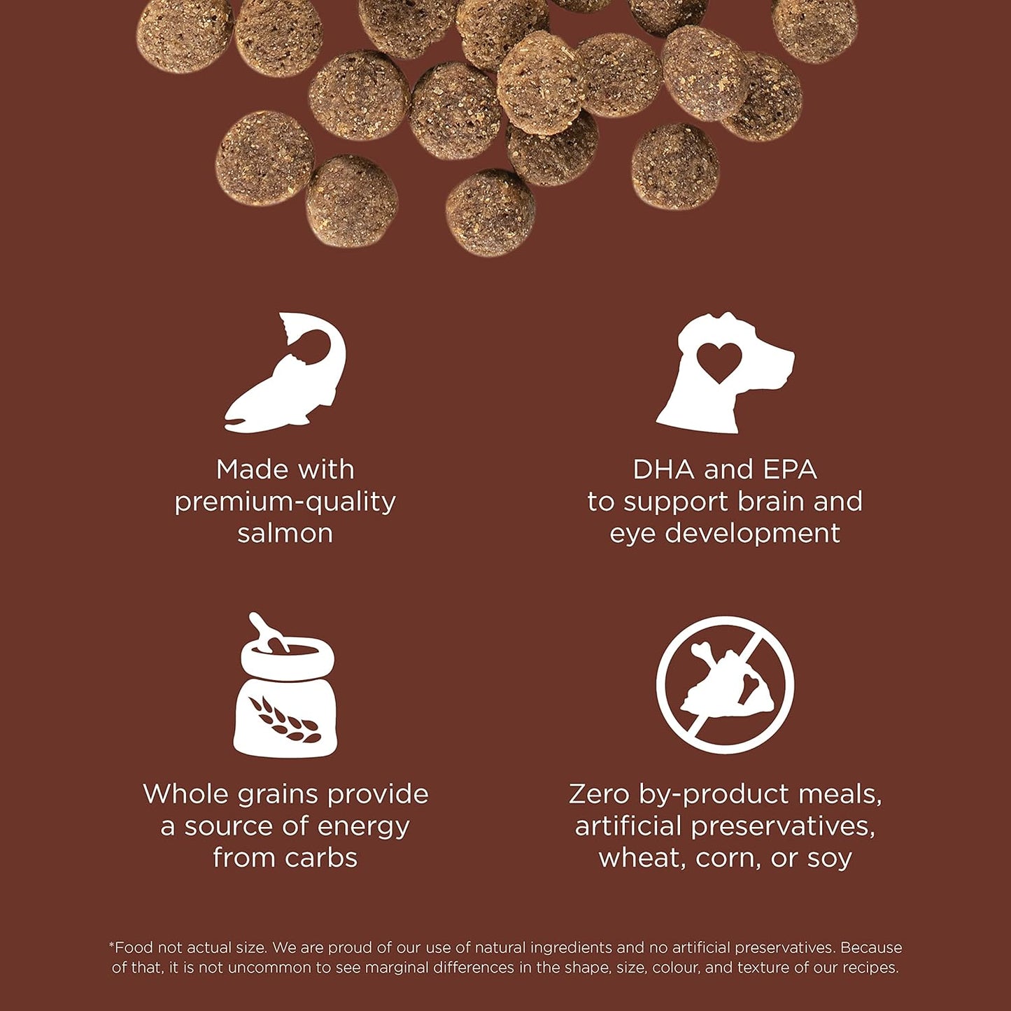 Go! Solutions Skin + Coat Care, Dry Dog Food, Large Breed Puppy Salmon Recipe with Grains, 12 lb Bag