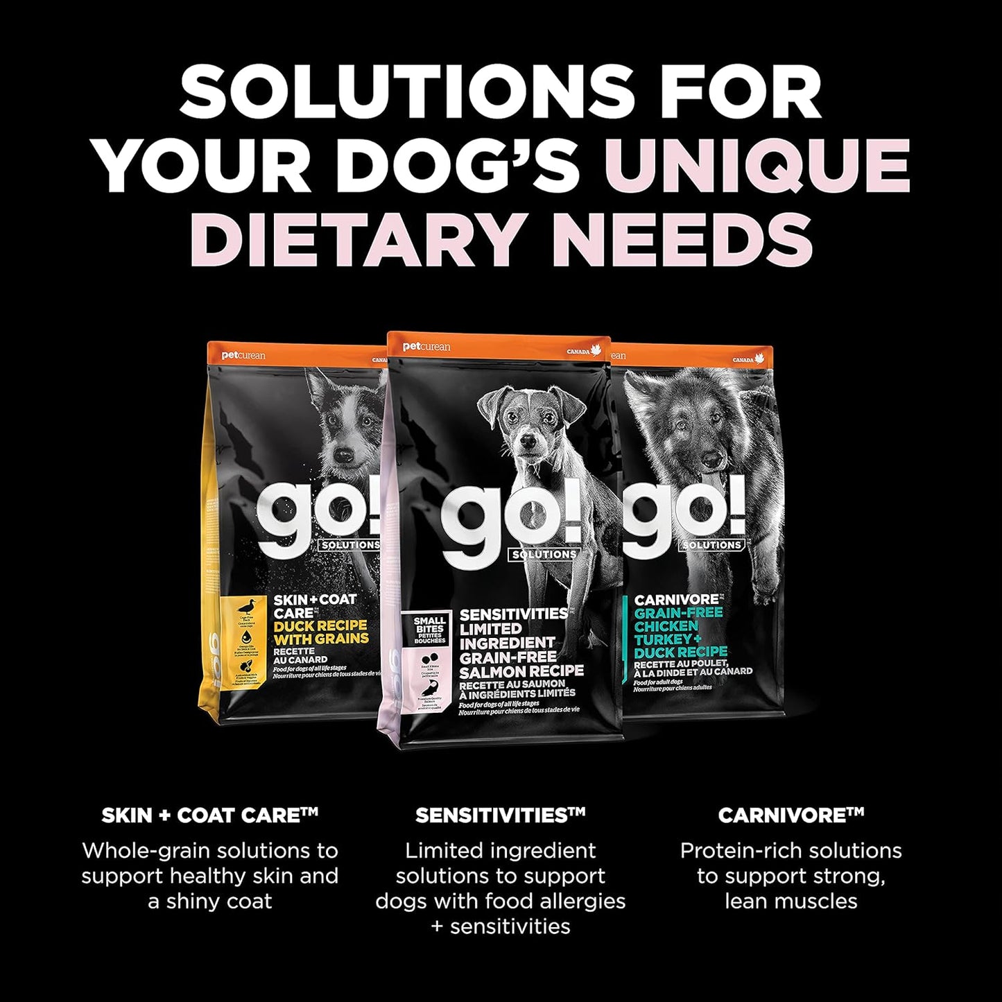 Go! Solutions Sensitivities Limited Ingredients, Grain-Free Dry Dog Food, Small Bites Salmon Recipe for Sensitive Stomach, 22 lb Bag