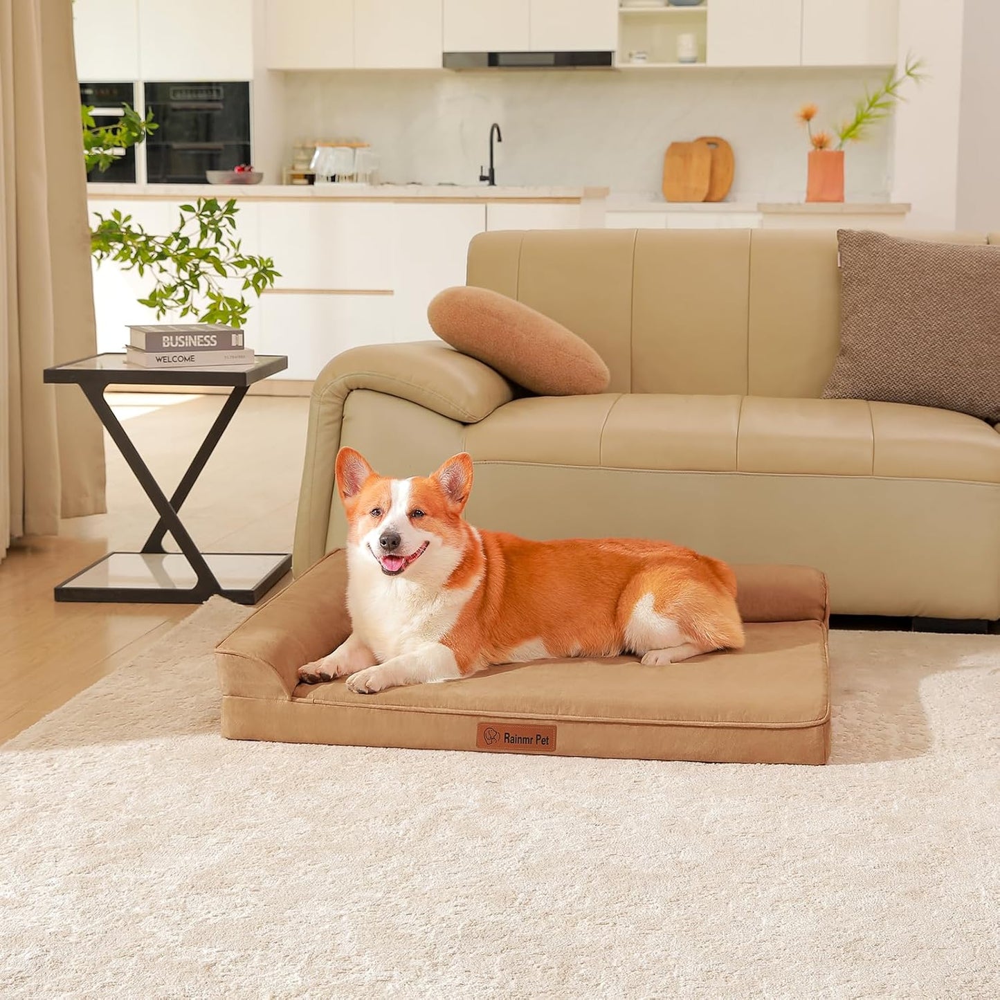 Upgraded Large Dog Bed, 3" Memory Foam with Waterproof Liner, Chew Resistant Microsuede Cover, Removable and Washable, for Indoor, Outdoor, and Car Use, Nonskid Base, 41x27 Inches XL Khaki