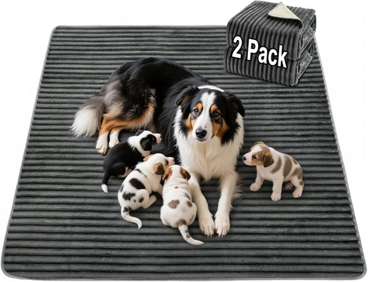 Flannel Washable Pee Pad for Dogs - 2 Pack Reusable Dog Pee Pads, Puppy Pads, Fast Absorb Pet Playpen Mat with Non-Slip Back, Waterproof Puppy Training Pad. (Dark Grey, 24" X 36")