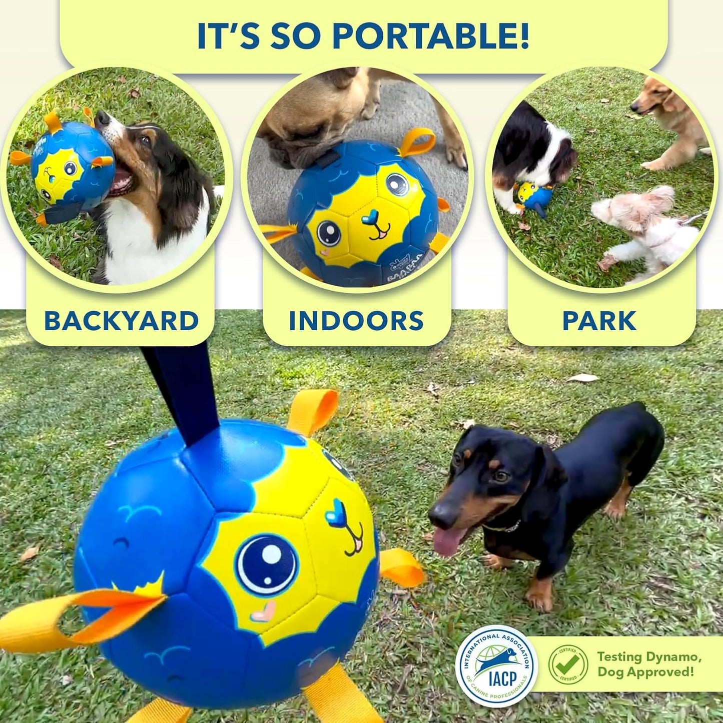 Race&Herd 9" Jolly Soccer Ball for Dogs - Tough Durable Dog Ball Toy with Straps, Pet Bouncy Herding Balls for Dogs, Floating Dog Balls with Tags for Water Fetch (BaaBaaBall, Daddy Sheep)