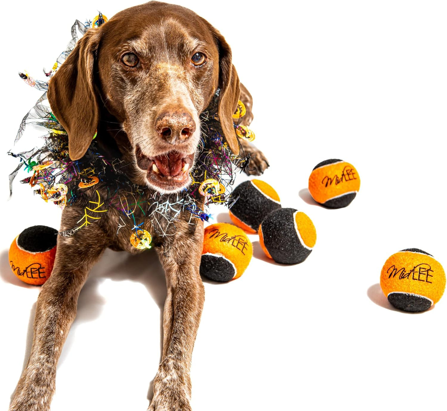 Midlee Orange/Black Dog Halloween Tennis Balls- Set of 6