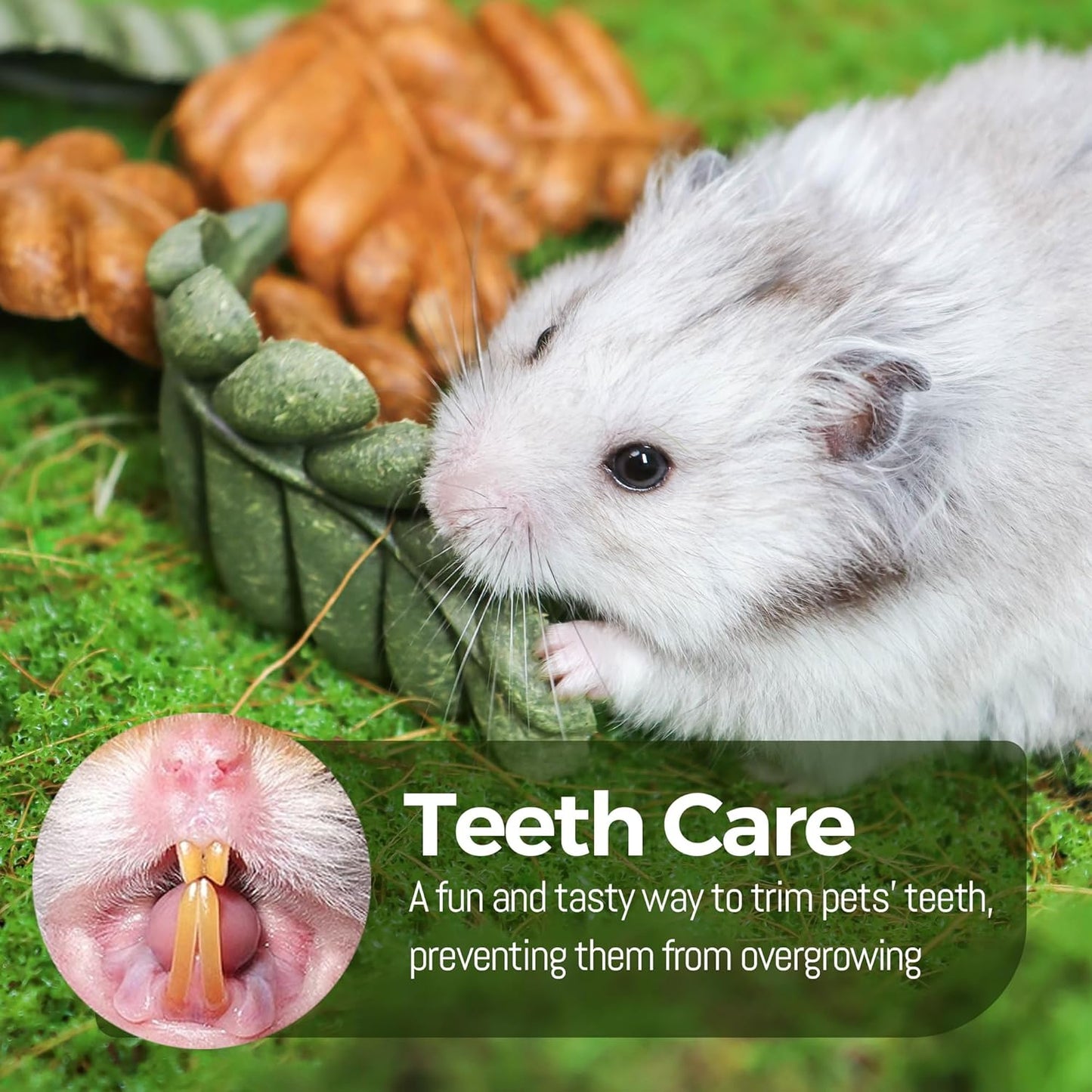 TEEWY 6PCS Hamster Chew Toys, Guinea Pig Chew Toys for Teeth with Natural Vegetables and Timothy Grass, Chinchilla Toys,Dental Care for Rats/Guinea Pigs/Hamsters and Gerbil, Leaf-Shape