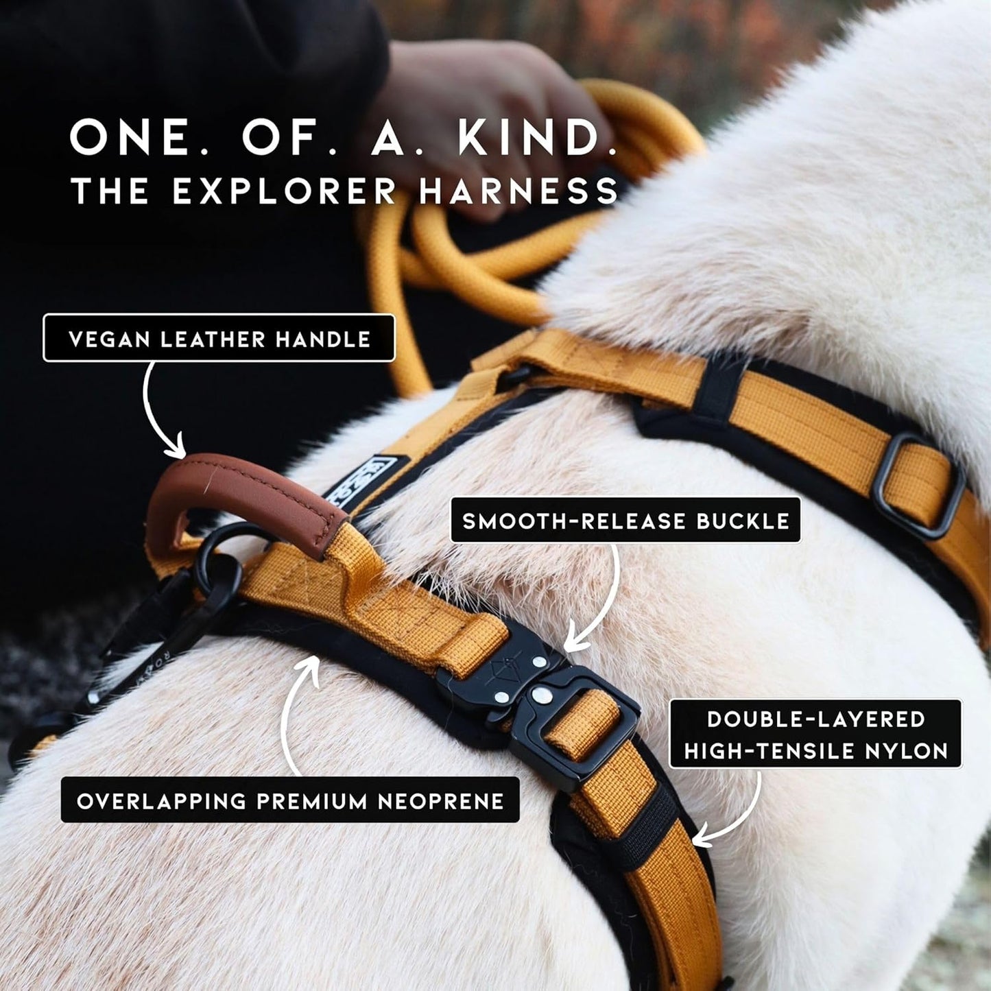 MADE TO ROAM Premium Explorer Harness - Y-Shaped Dog Harness with Adjustable Durable Nylon, Soft Padding, Metal Buckles and Leather Handle for Small, Medium, Large Dogs (Colorado Nightsky, Size 6)