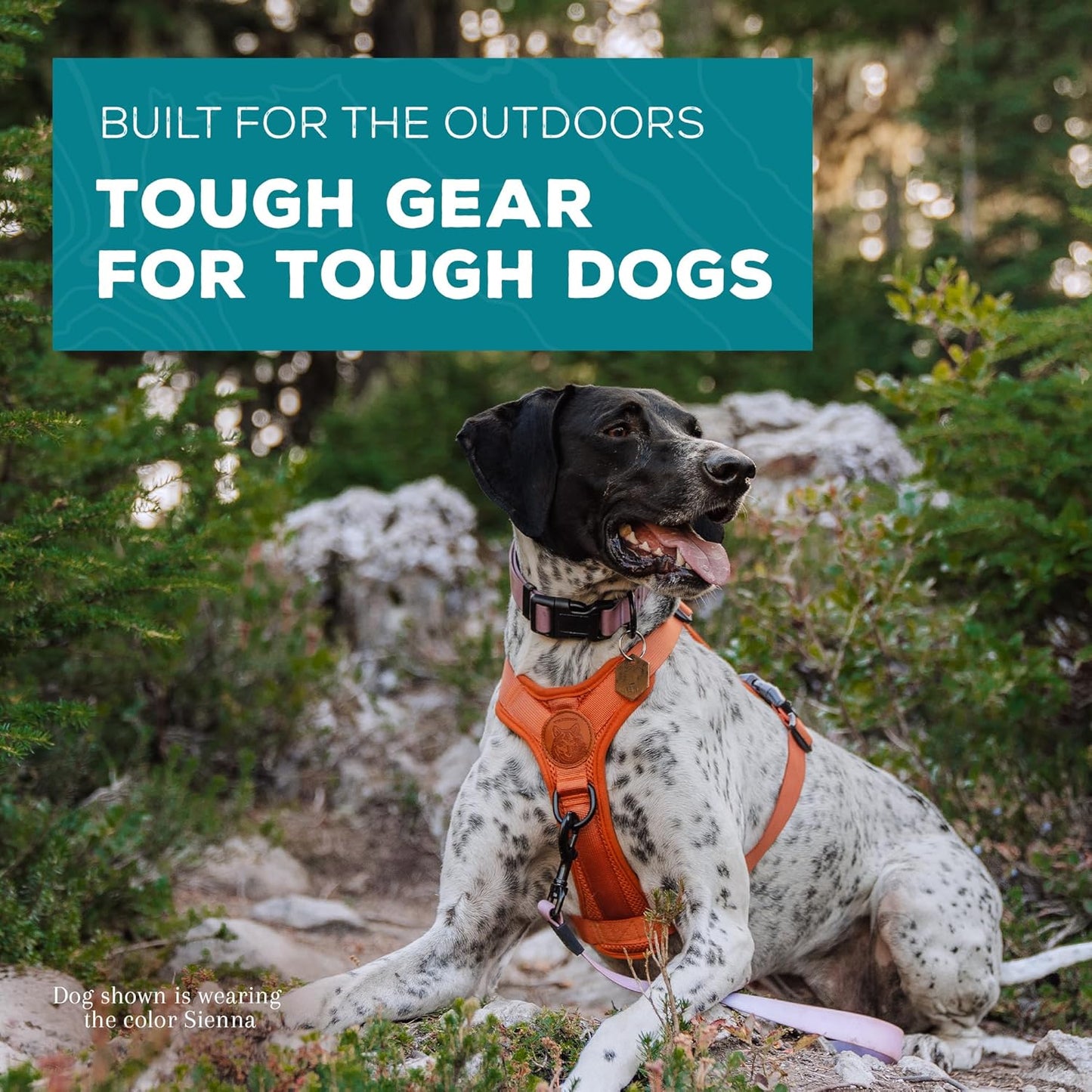 Wilderdog Lightweight Dog Harness with Reflective Straps - Large - Sienna