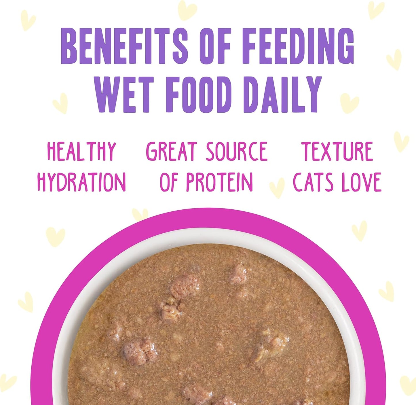 Weruva B.F.F. OMG - Best Feline Friend Oh My Gravy!, Chicken & Duck Dream Team with Chicken & Duck in Gravy, 2.8oz Can (Pack of 12)