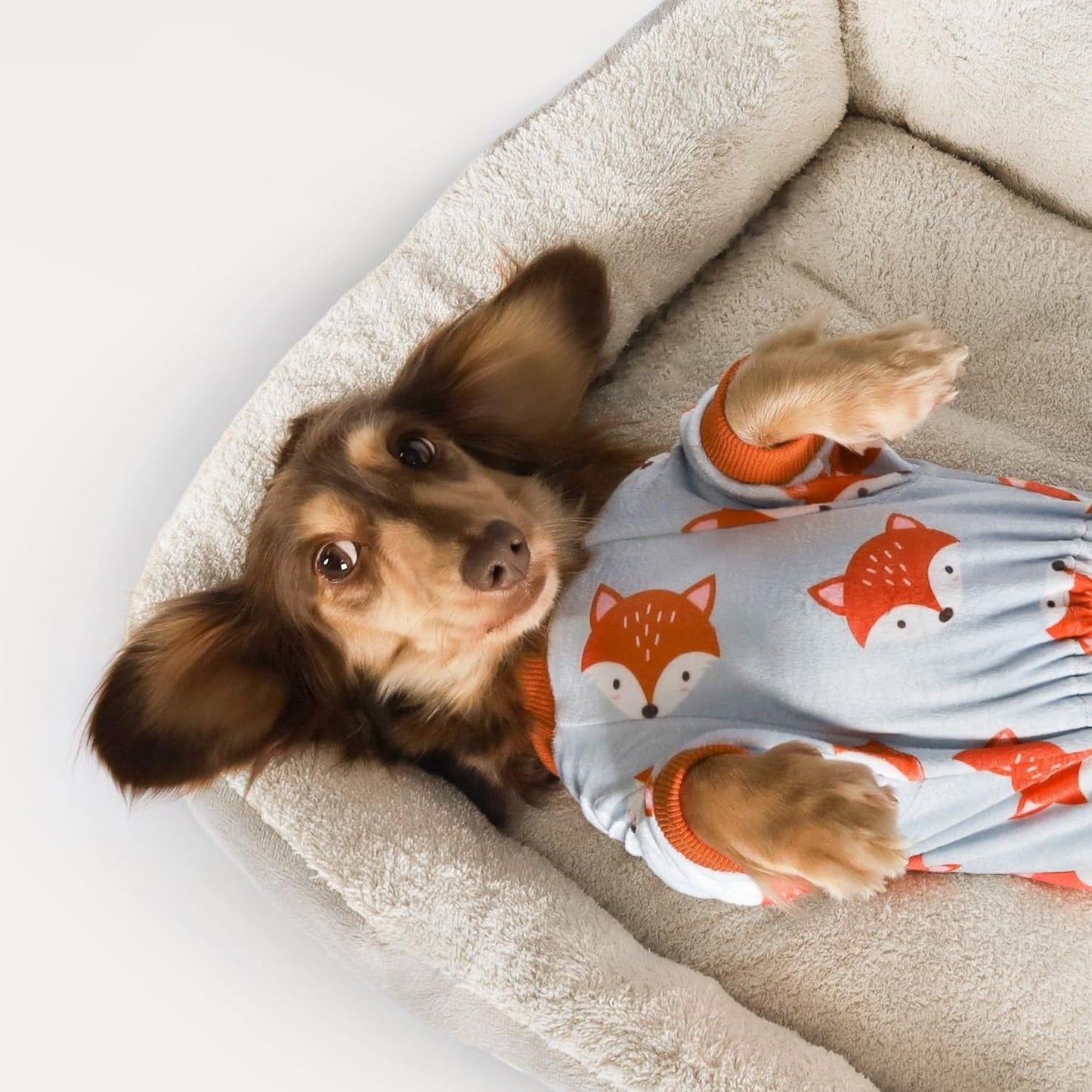 Fitwarm Funny Fox Dog Pajamas, Warm Dog Onesie, Dog Clothes for Small Dogs Girl Boy, Lightweight Velvet, Pet Outfit, Gray, Orange, Small