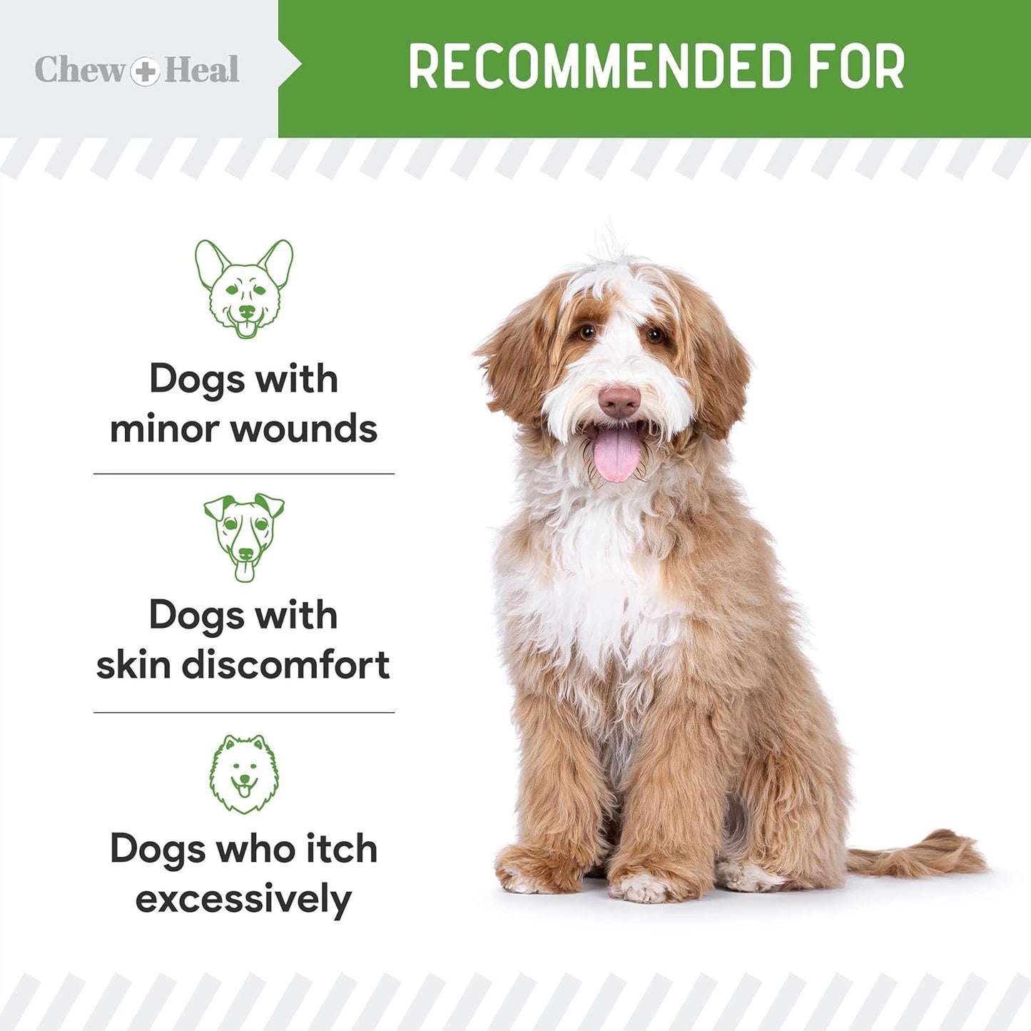 Hypochlorous Acid Spray for Dogs – 4oz Dog Wound Spray for Cuts, Burns, Sores, Abrasions, and More – Non Toxic and Chemical Free HOCI Wound Care – Made in The USA