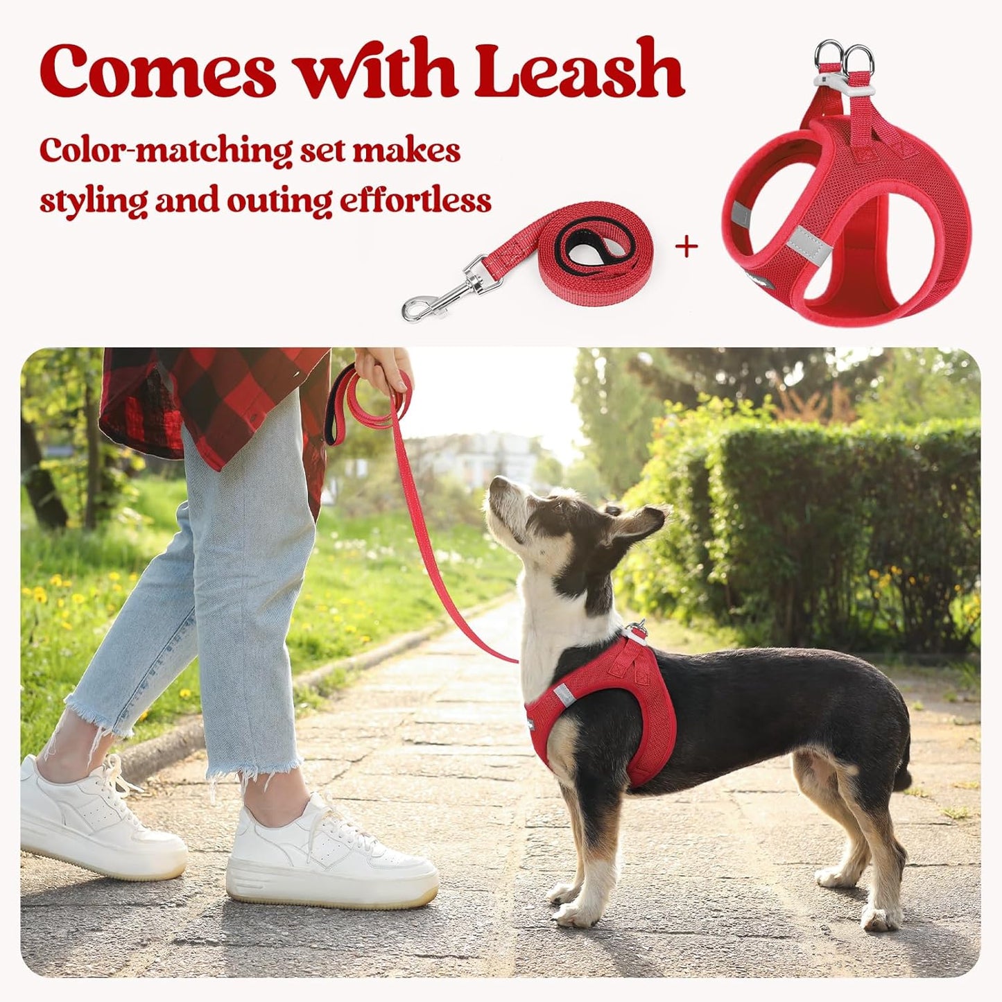 rabbitgoo Dog Harness Small Medium Sized and Leash Set, Step in Soft Light Puppy Vest, Breathable Mesh Pet Harness, Reflective for Safe Easy Walking, Red L