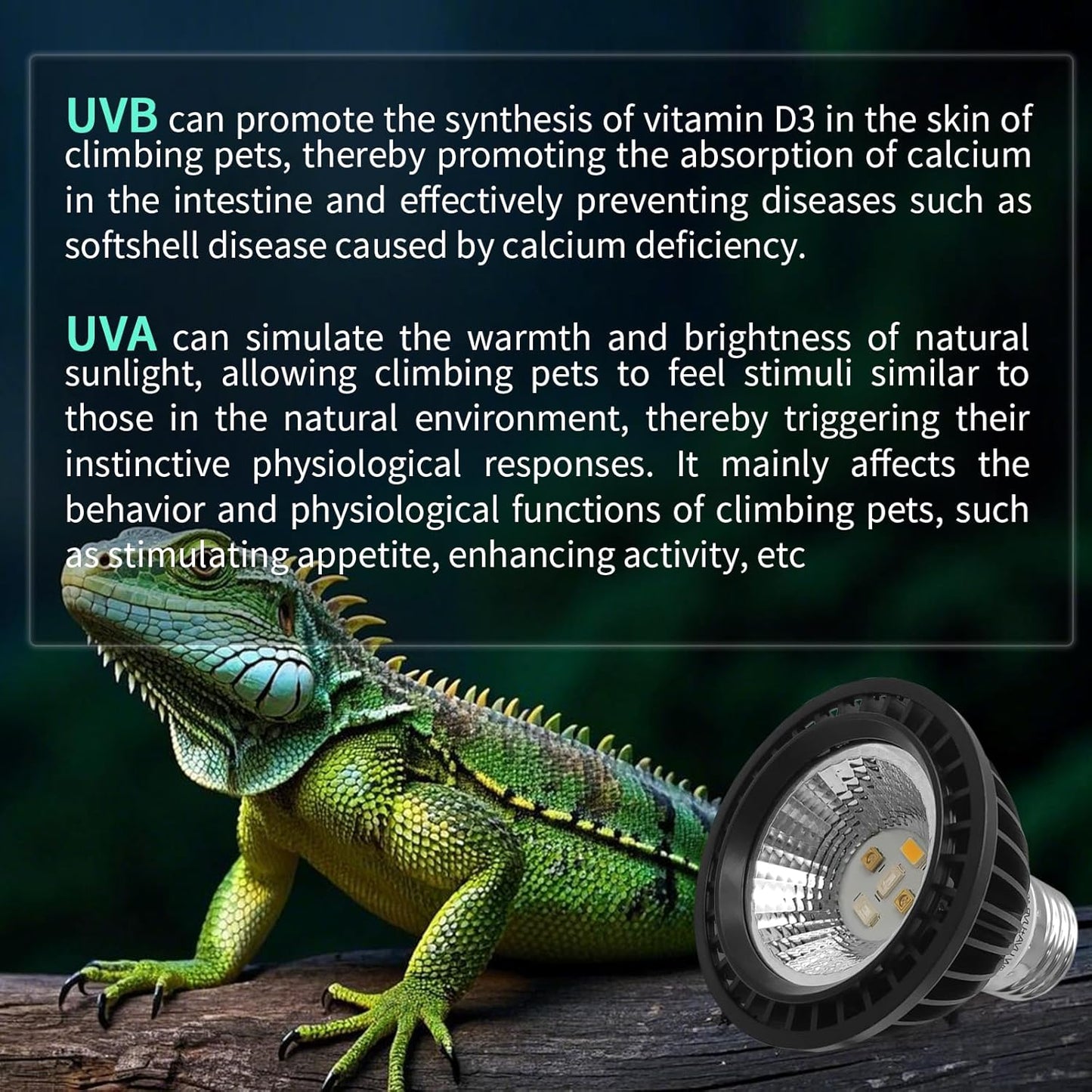 UVB Light Bulb for Reptiles, LED 3W 10.0 UVA UVB Heat Lamp Bulbs Ideal for Rainforest Reptiles, Bearded Dragons Lizard Turtle Tortoise Iguanas Chameleons Snake (2 Pack)