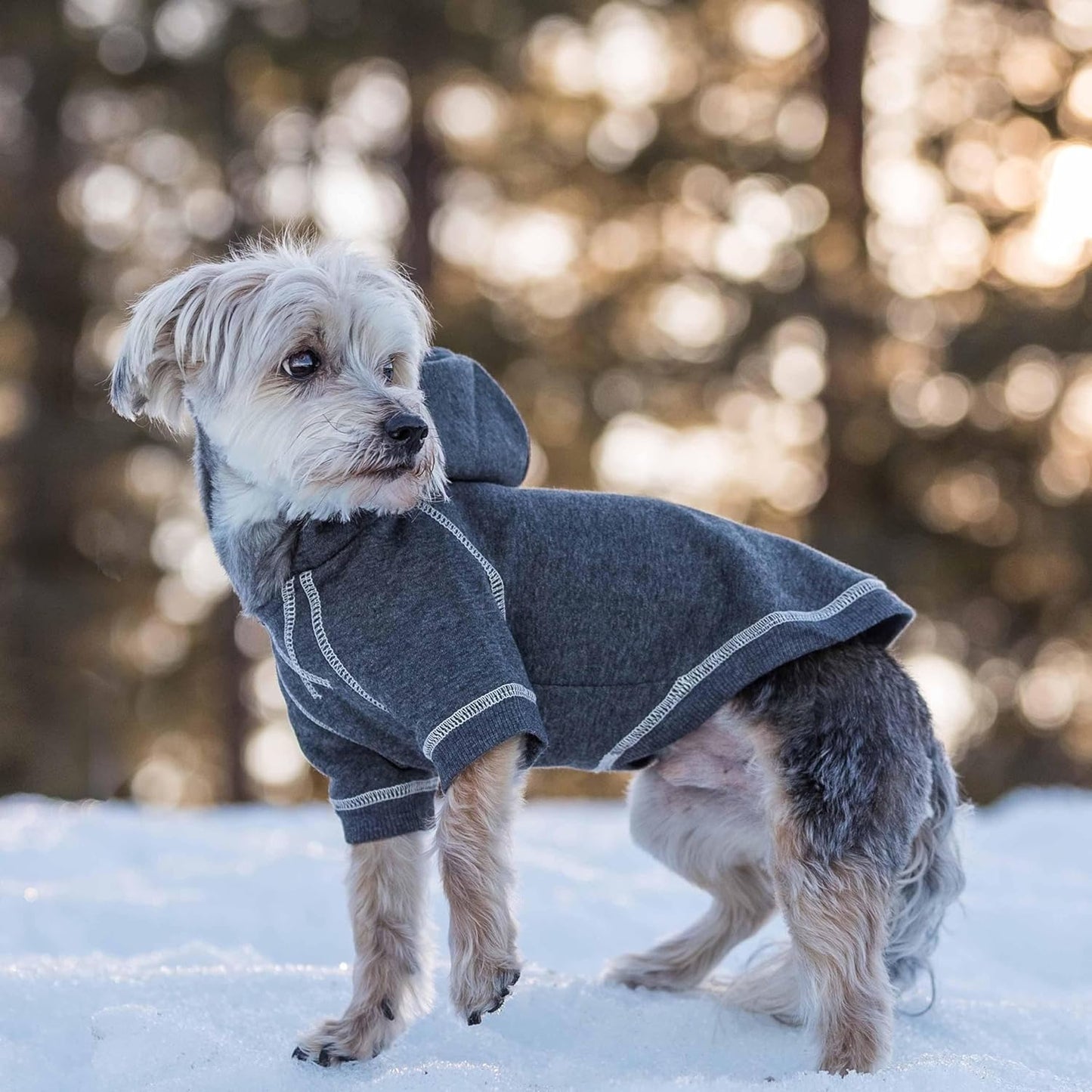 Blueberry Pet Essentials Soft & Comfy Better Basic Cotton Blend Dog Hoodie Sweatshirt in Charcoal Grey, Back Length 24", Pack of 1 Jacket for Dogs