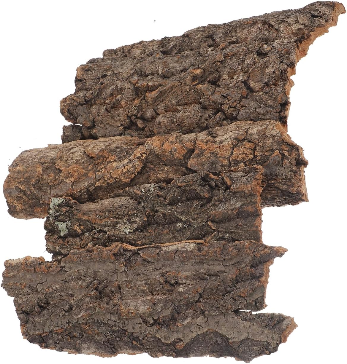 Amosfun 4pcs Reptile Bark Cork Wood Bark Decor Cork Flat Bedding for Bearded Dragon Lizard Geckos Tortoise, Random Size 3.2 to 5.5Inch