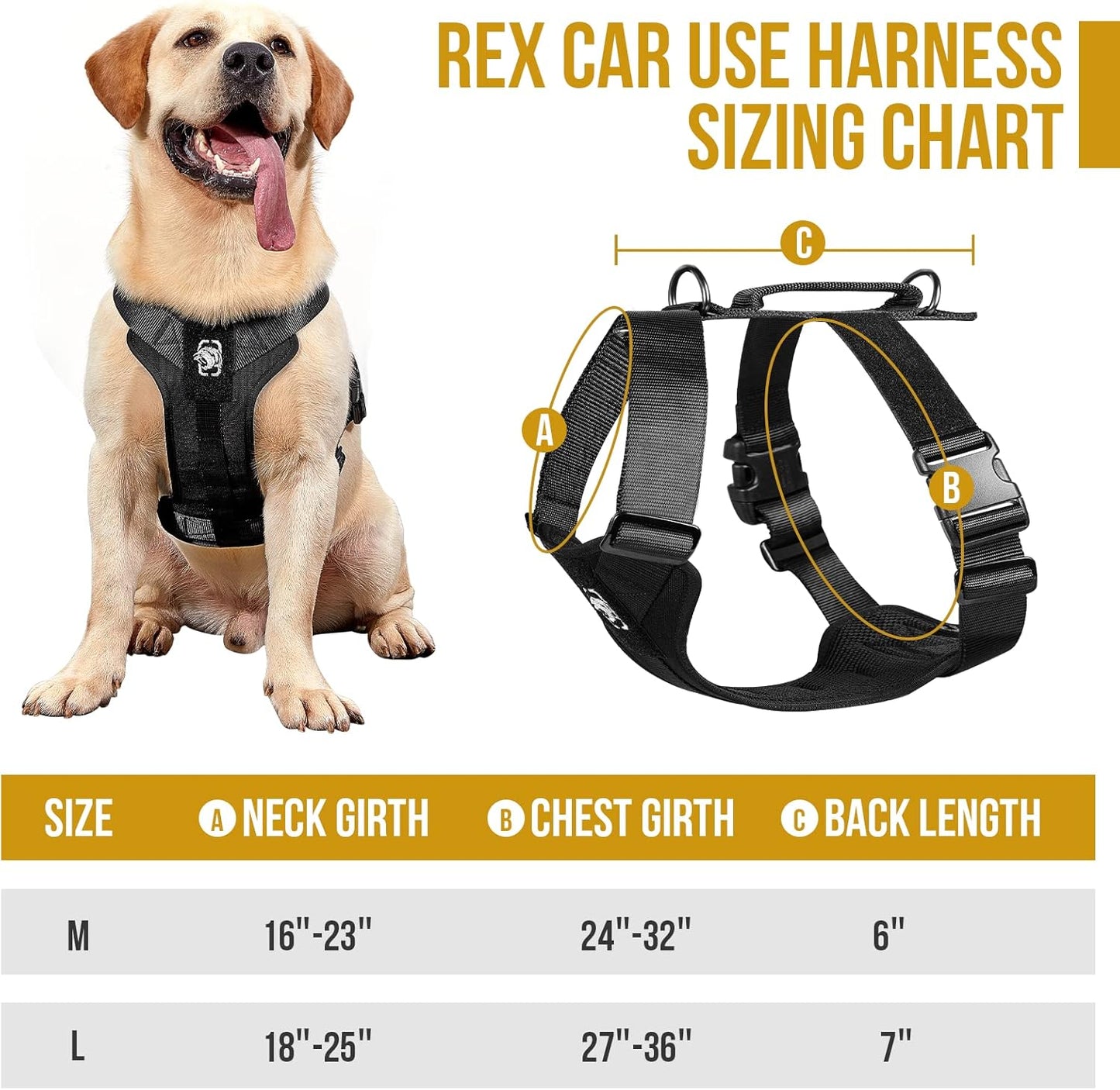 OneTigris Dog Safety Vest Harness, REX Car Use Dog Harness Adjustable Pet Harness with Leash for Medium Large Dogs(Black,M)