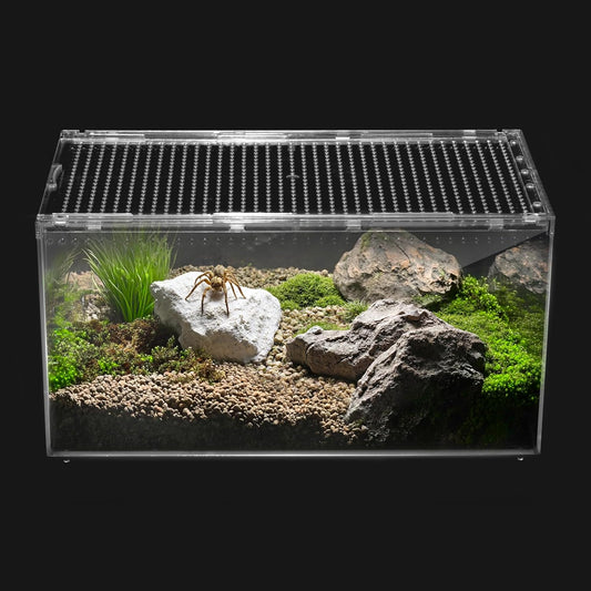 Reptile PC Terrarium,Spider Tank Starter Kit, Leopard Gecko Container,Tarantula Cage, Hermit Crab Habitat,Lizard Enclosure,Insect Housing,Jumping Spider Enclosure,Small Bearded Dragon Vivarium