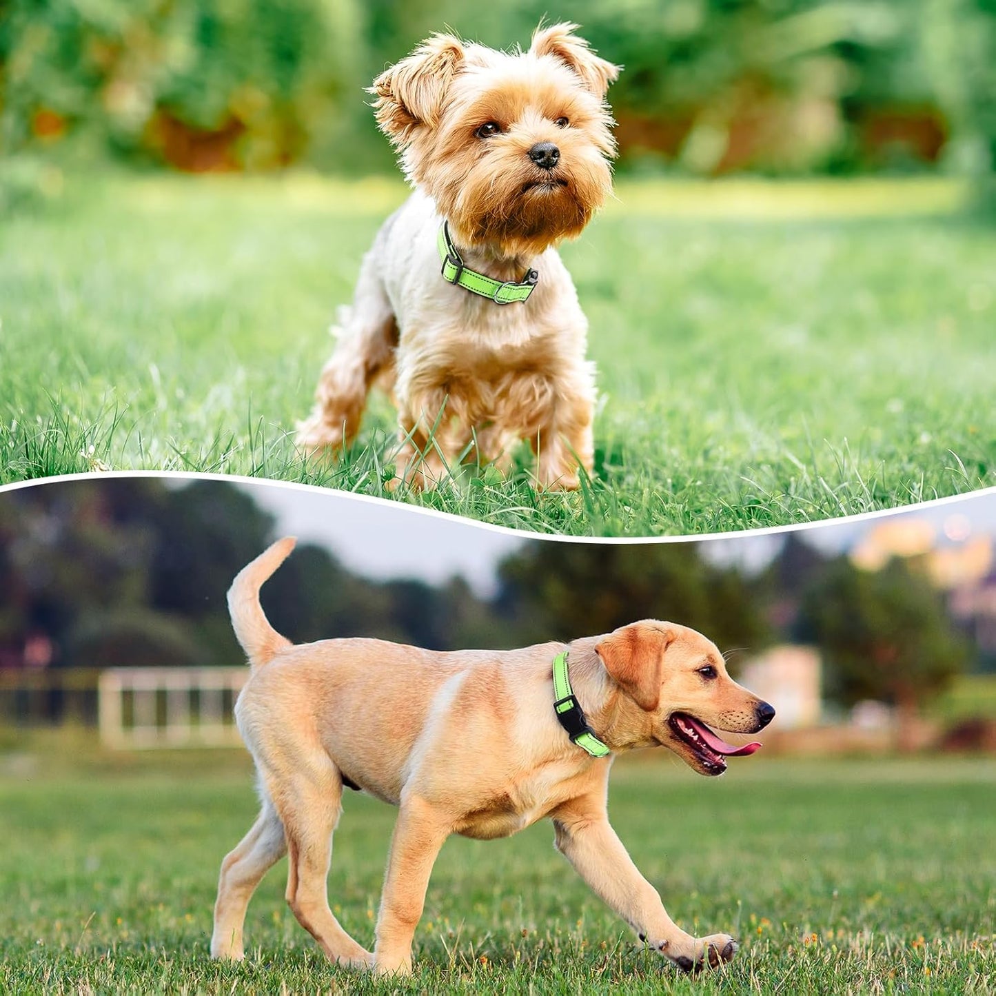 Reflective Dog Collar Padded with Soft Neoprene Breathable Quick Release Basic Dog Collars for Large Dogs Green Boy Girl