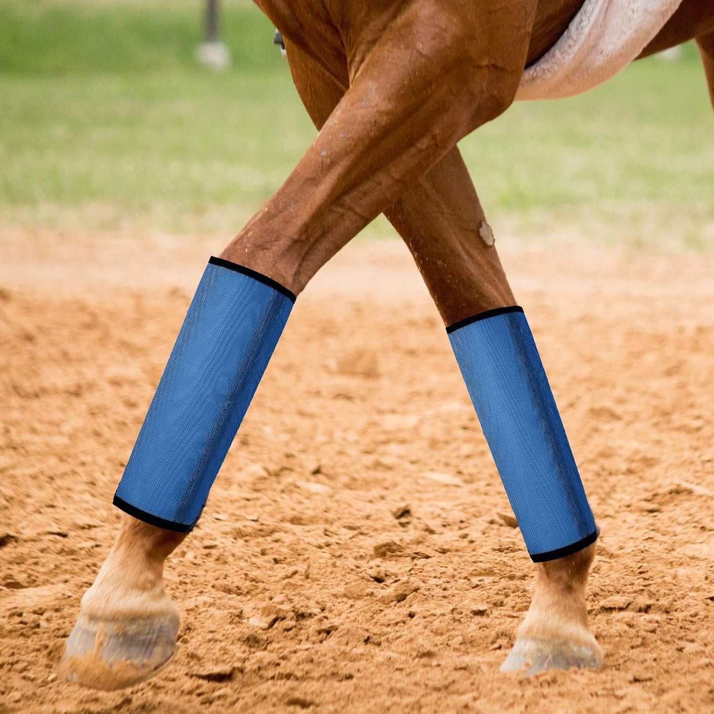 Jexine 12 Fly Boots for Horse Set of 12 Loose Breathable Mesh Horse Fly Sheets Protective Horse Leg Wraps Leggings for Preventing Flies and Mosquitoes Bites(Blue)