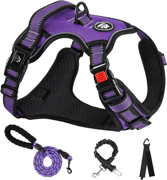 NESTROAD No Pull Dog Harness,Adjustable Oxford Dog Vest Harness with Leash,Reflective No-Choke Pet Harness with Easy Control Soft Handle for Small Dogs(Small,Purple)