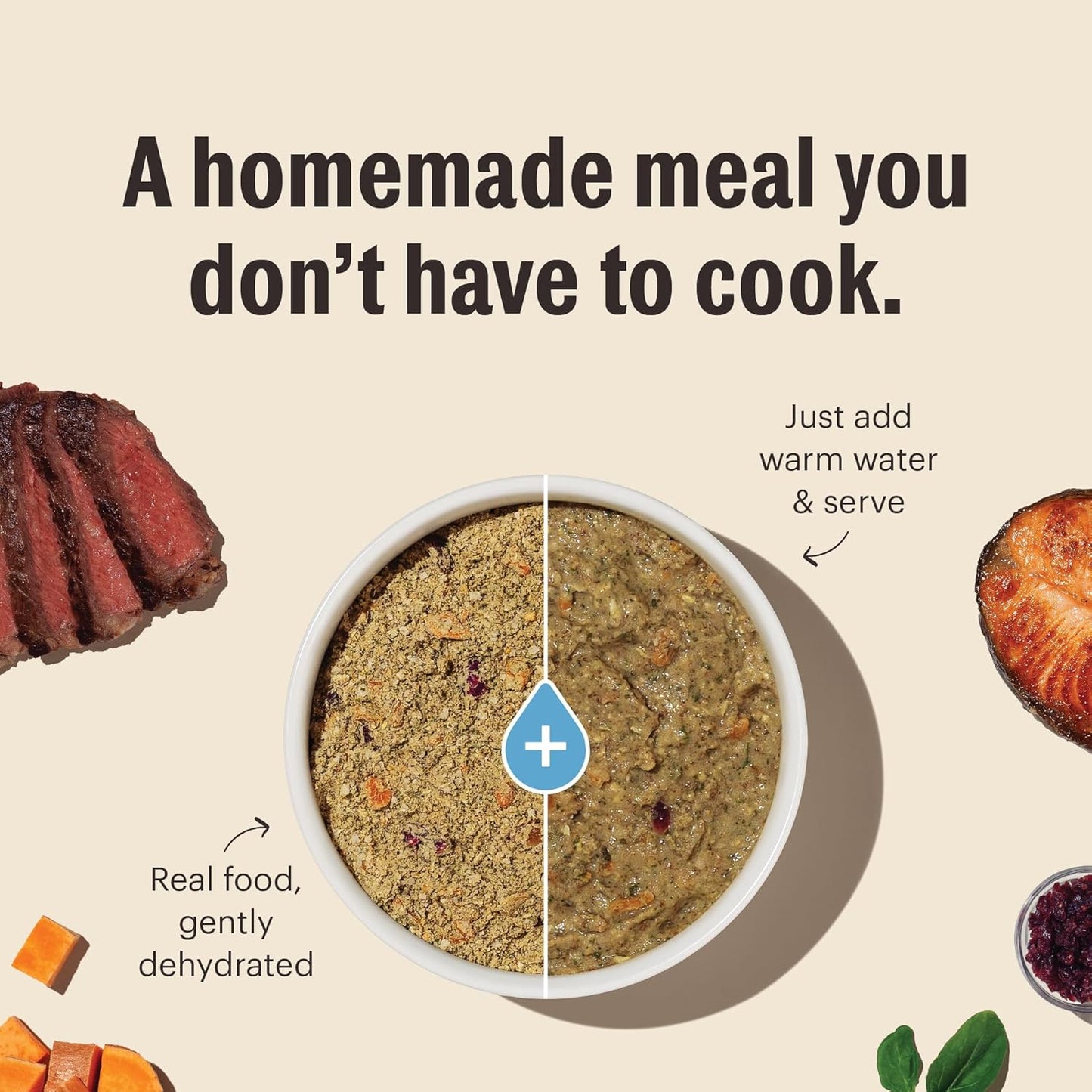 The Honest Kitchen Wholemade™ Grain Free Beef Dog Food, 10 lb Box