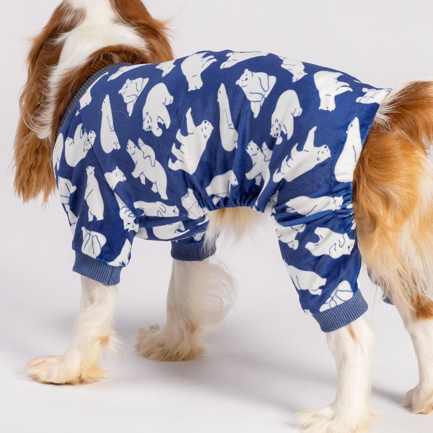 Fitwarm Polar Bear Dog Pajamas, Dog Clothes for Small Dogs Girl Boy, Pet Onesie with Feet, Cat Outfit, Lightweight Velvet, Royal Blue, White, Small