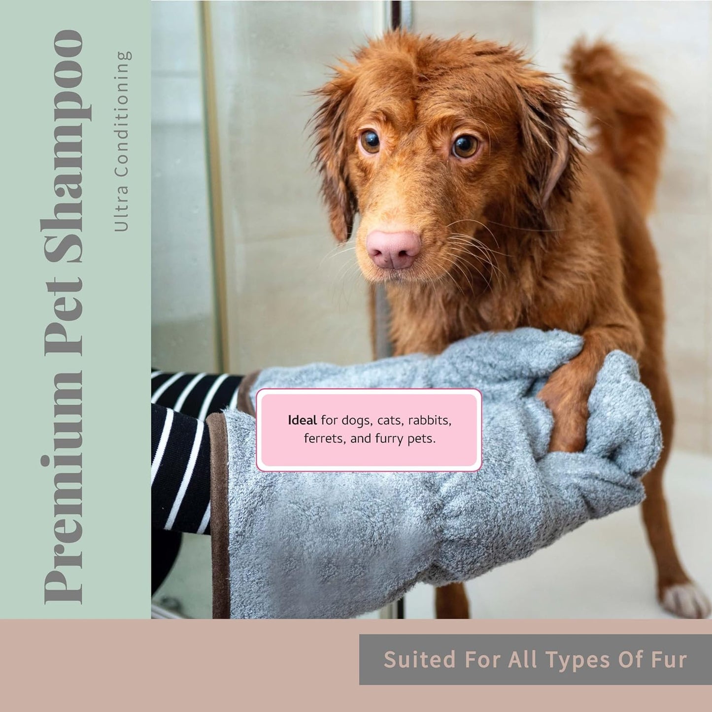 Begley's No Rinse Waterless Pet Shampoo, Bathless Cleaning, Deodorizing, and Odor Removal for a Shiny, Fresh Smelling Coat - Effective for Dogs, Puppies, and Cats - Fresh Citrus Scent