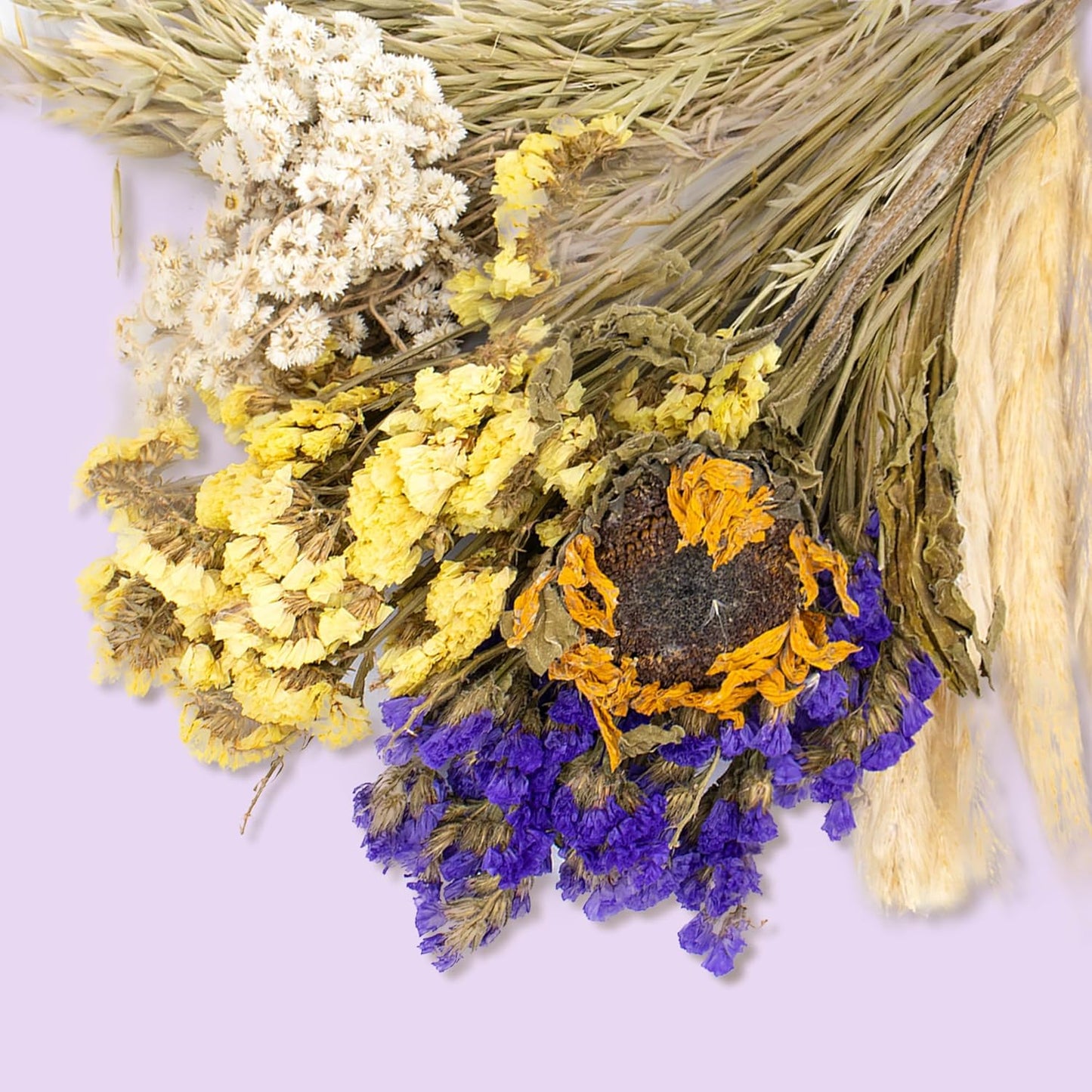 Natural Ear of Grain Flower&Herb Bedding Mate Habitat Decor, Adding Fun Hamster Accessories for Hamsters Gerbils Lemming