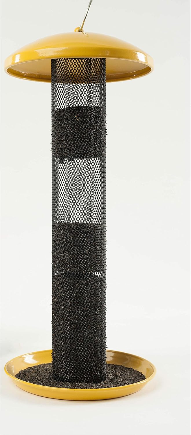 Wagner's 62050 Nyjer Seed Wild Bird Food, 10-Pound Bag