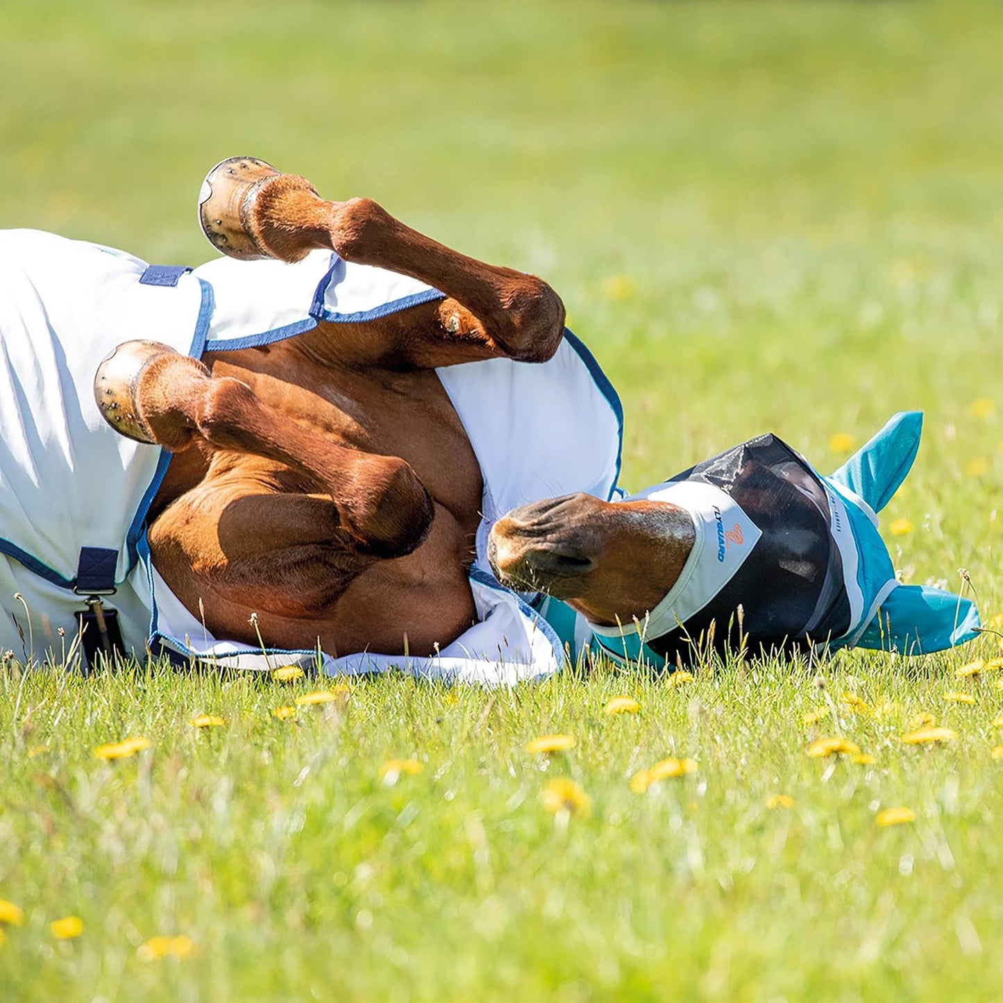 Shires Fine Mesh Horse Equine Fly Mask with Ears 60% UV Protection (Cob, Teal)