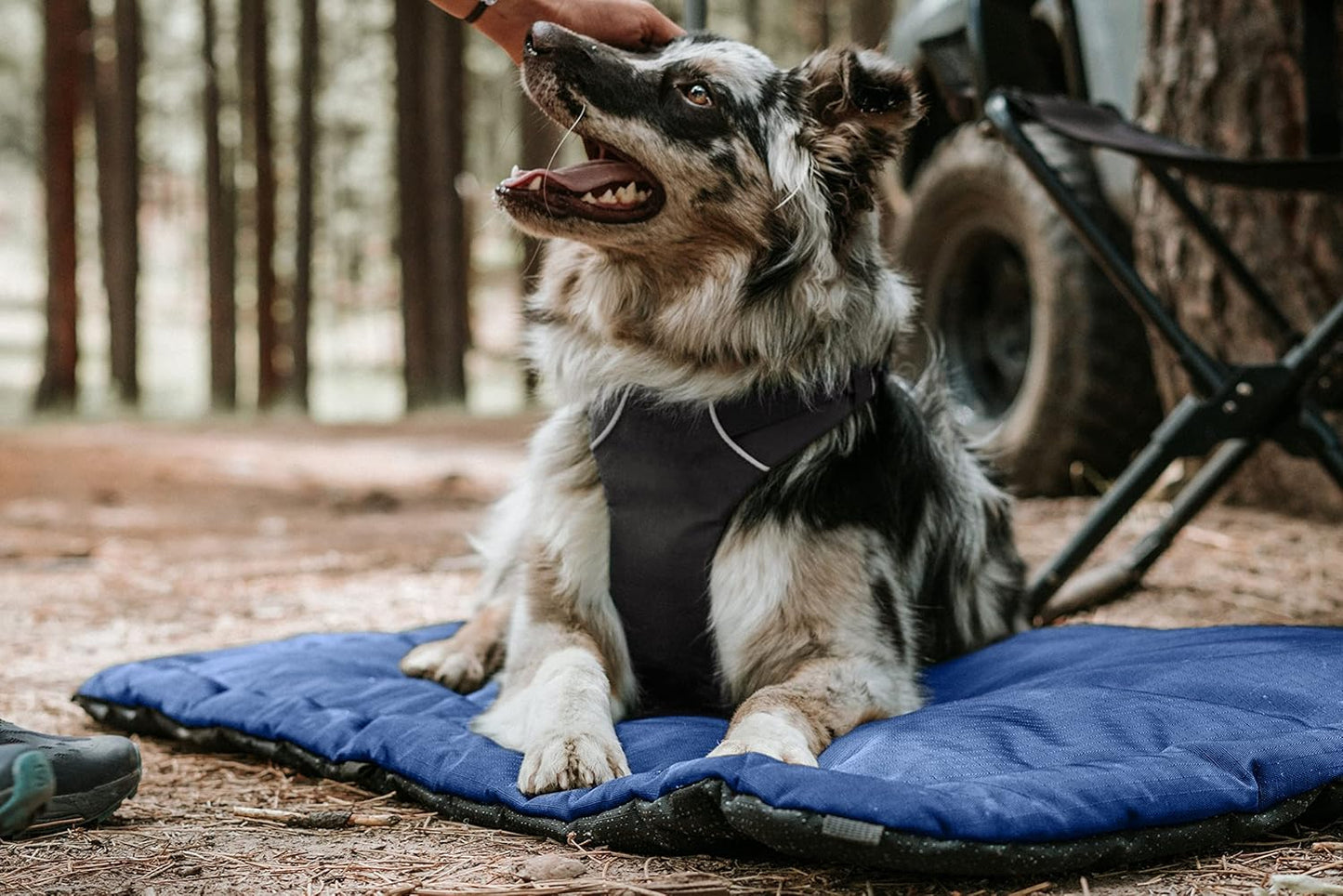 K9 Ballistics Tough Ripstop Dog Crate Pad - Durable & Machine Washable with Non-Skid Bottom and 120-Day Warranty, Fits 54" Wire Crates - XX-Large, Sandstone
