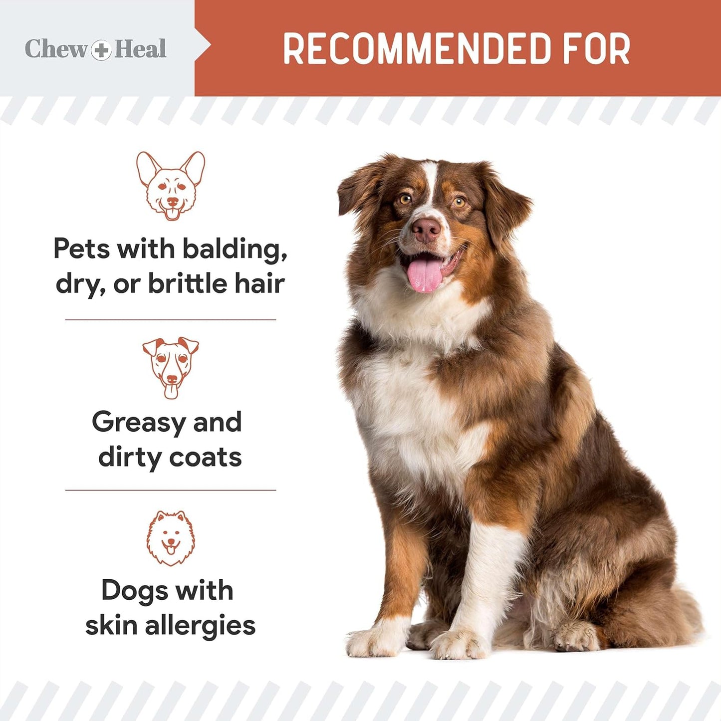 Salmon Oil for Dogs - Soft Chew Omega Treats for Skin and Coat - Fish Oil Blend of Essential Fatty Acids, Omega 3 and 6, Vitamins, Antioxidants and Minerals - Made in USA (180 Chews, Salmon)