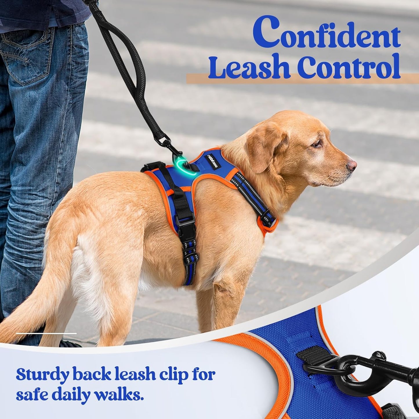 rabbitgoo Dog Harness No Pull with 2 Leash Clips, Adjustable Soft Padded, Reflective Oxford No Choke Pet Vest with Easy Control Handle for Small Dogs, Blue & Orange, S