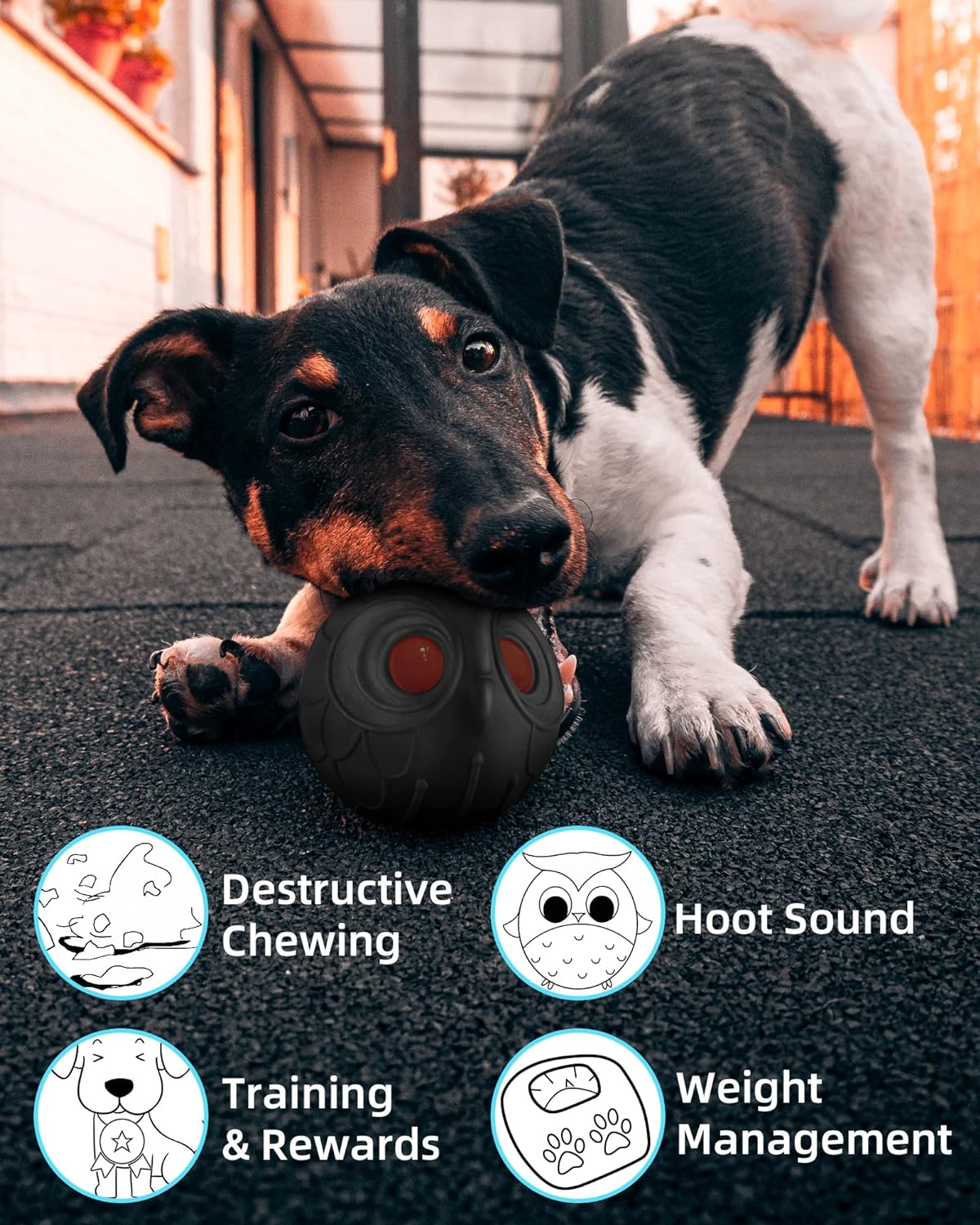 Giggle Ball for Dogs Owl Dog Toys for Aggressive Chewers Gift for Dog Natural Rubber Ball Cute Owl Hoot Medium Large Dog (Demon)