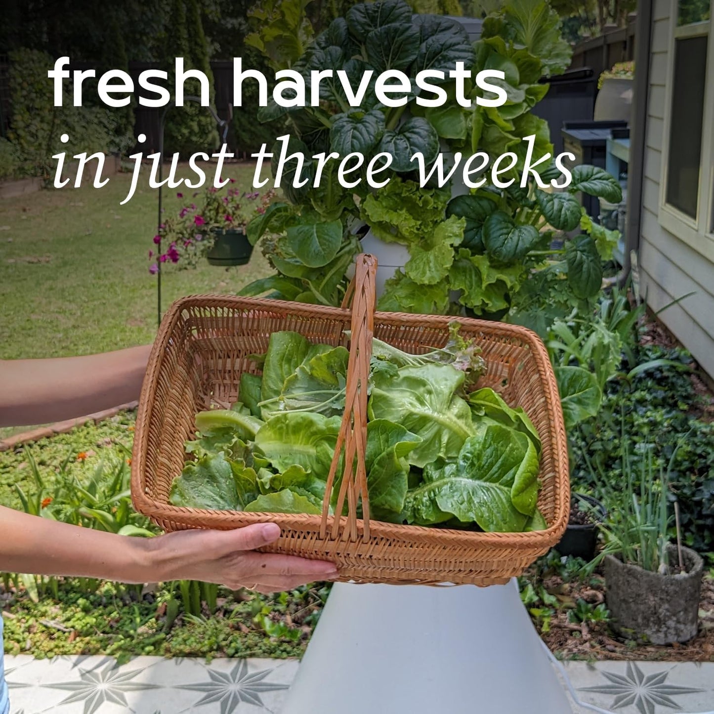 Farmstand Starter Kit + 36 Seedling Credits | Large Hydroponic Growing System Kit | Self-Watering Outdoor Vertical Garden Planter Tower | 6ft 1in | Made in USA