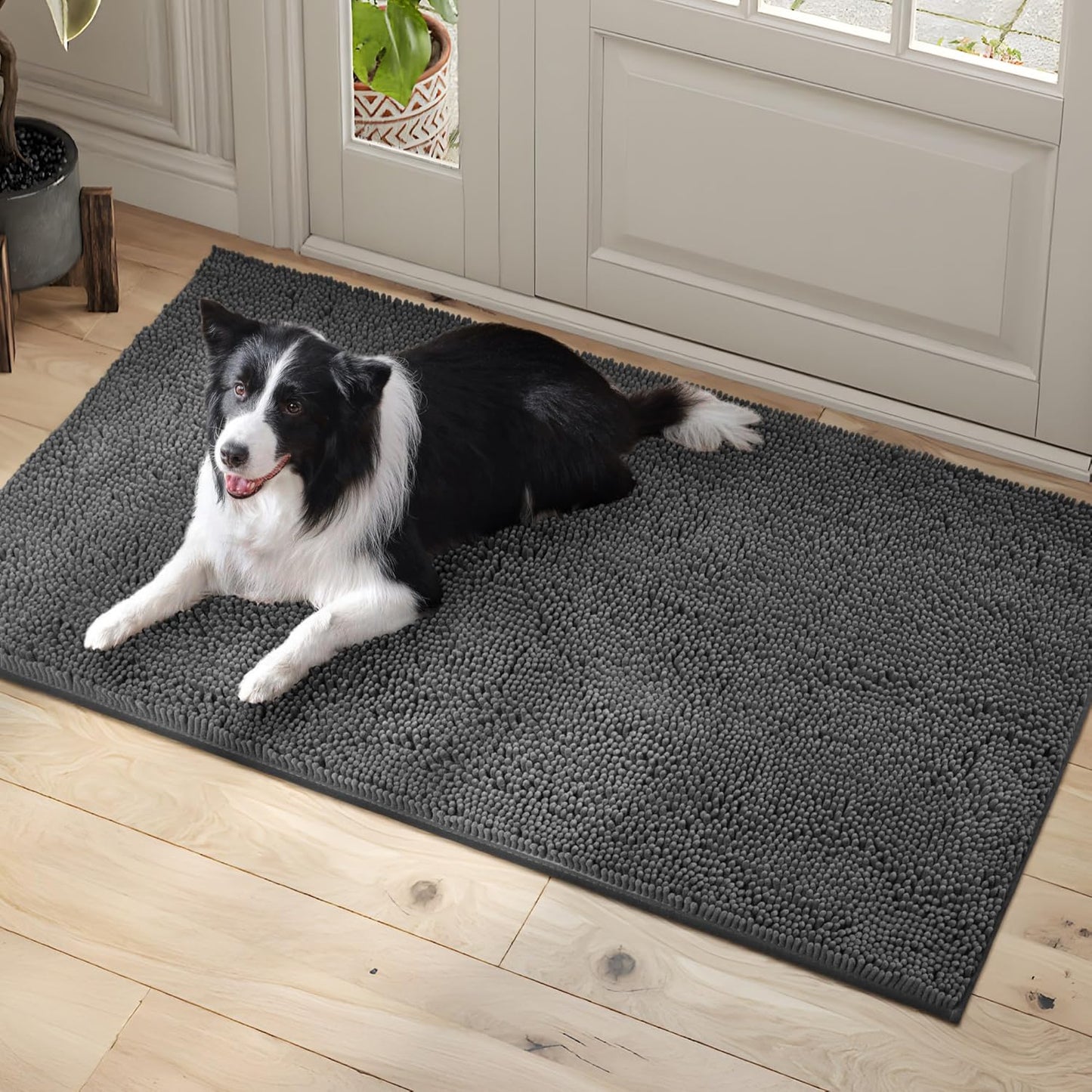 Dog Door Mat Indoor Entrance, 60" x 24" Absorbent & Quick-Drying Mud Rugs, Non-Slip Door Rugs for Entryway Indoor Washable, Soft Chenille Dog Mat for Muddy Paws