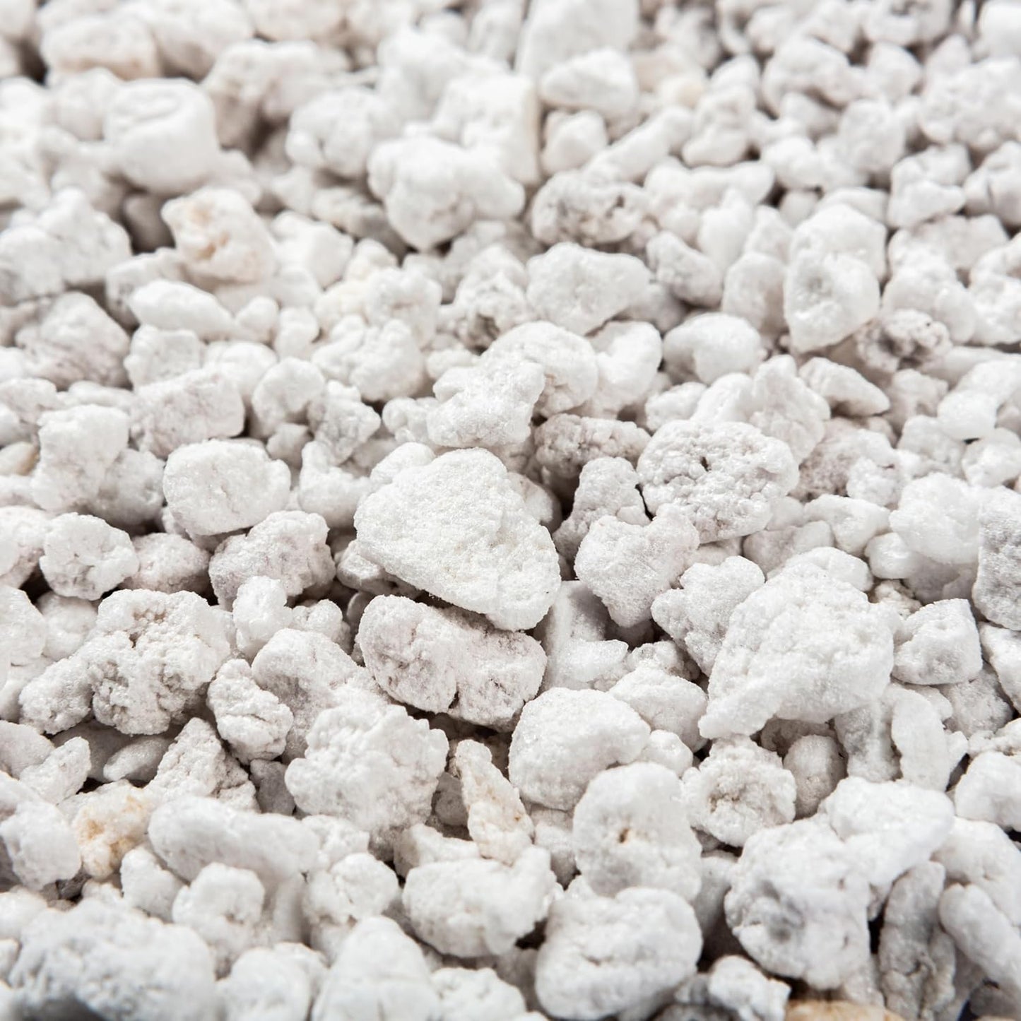 Perlite Bliss (16 Qts) - Organic Perlite for Plants - Coarse Perlite Bulk Soil Amendment - Chunky Perlite for Plants, Potting Soil, Garden Soil, & Coco Coir - Horticultural Perlite for Gardening