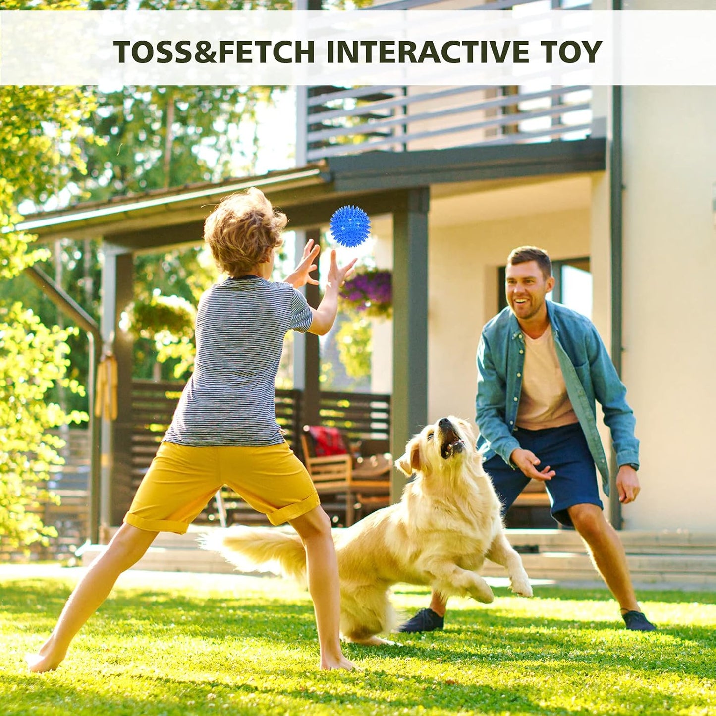 Petizer 3 Pack 2.5" Squeaky Toy Balls, Floating Pool Balls, Spiky Water Toys, Durable Interactive Fetch Toys for Puppy, Chew Toys for Teething (Small Dog)