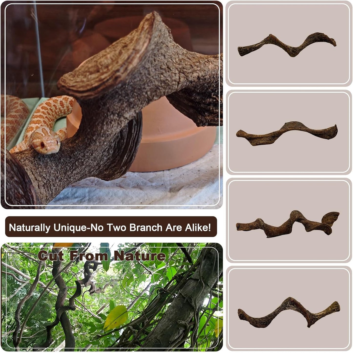 BNOSDM 3 Pcs Reptile Climbing Branches Decor,Snake Climbing Branch,Gecko Climb Wood,Lizard Forest Branch,Tank Habitat Tree Trunk Decorations for Bearded Dragons,Chameleons,Spider,Frogs (S)