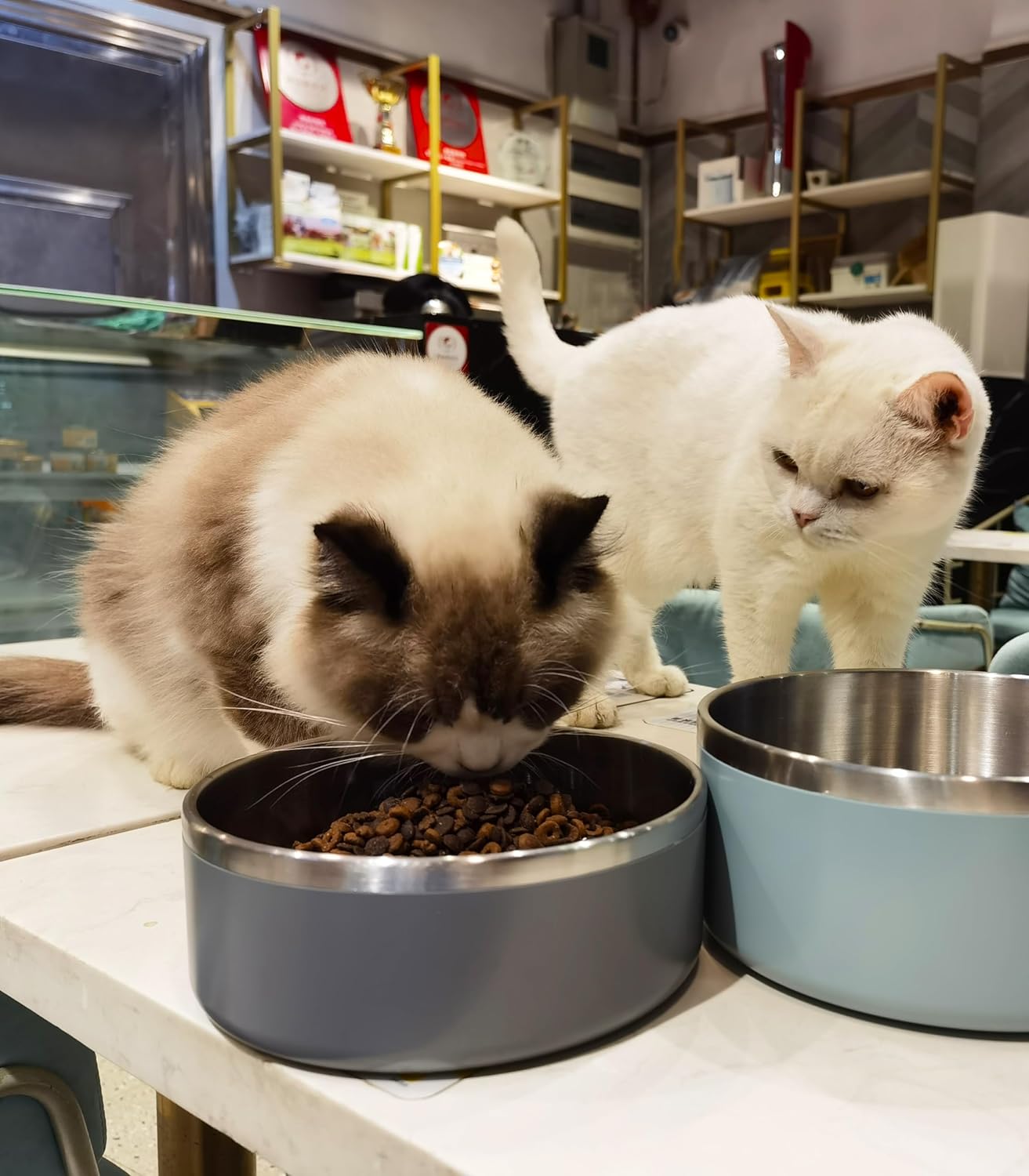 Dog Bowl, Stainless Steel Dog Food and Water Bowl with Non Slip Quiet Bottom, Easy to Clean, Dishwasher Safe, 64oz, Deep Grey