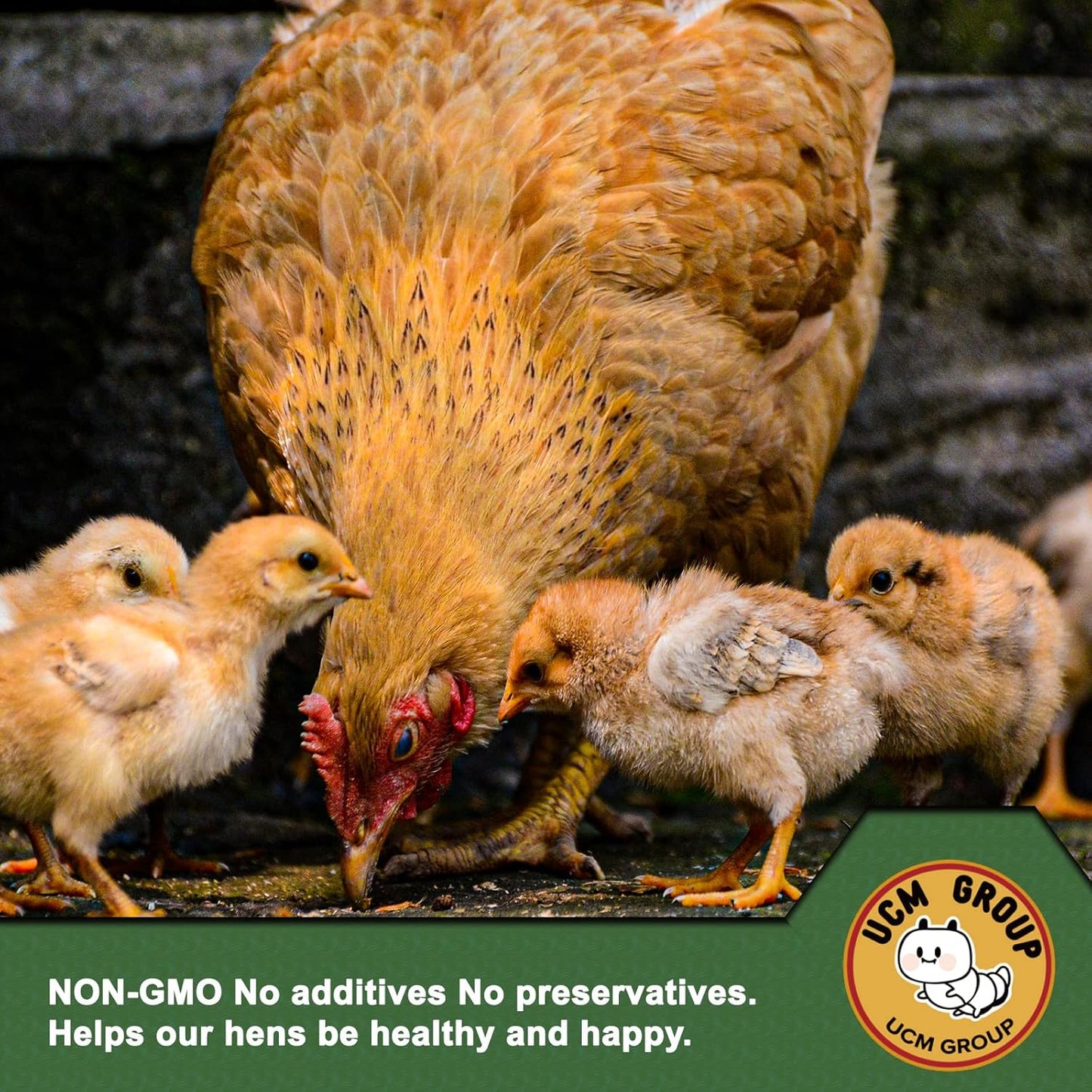 UCM Group 20LB Dried Mealworms for Wild Birds, Chickens, 100% Non-GMO,High Protein, 2 Packs