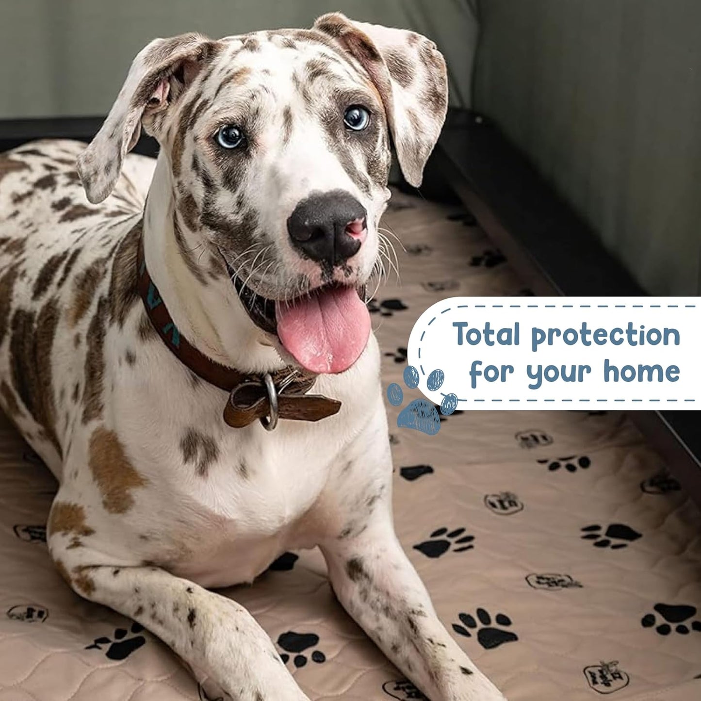 EZwhelp Reusable Dog Pee Pads, Washable Waterproof Mats for Potty Training or Whelping Pads, Puppy Pad with Rounded Corners, 16.5x19.5 Inch, 2 Pack