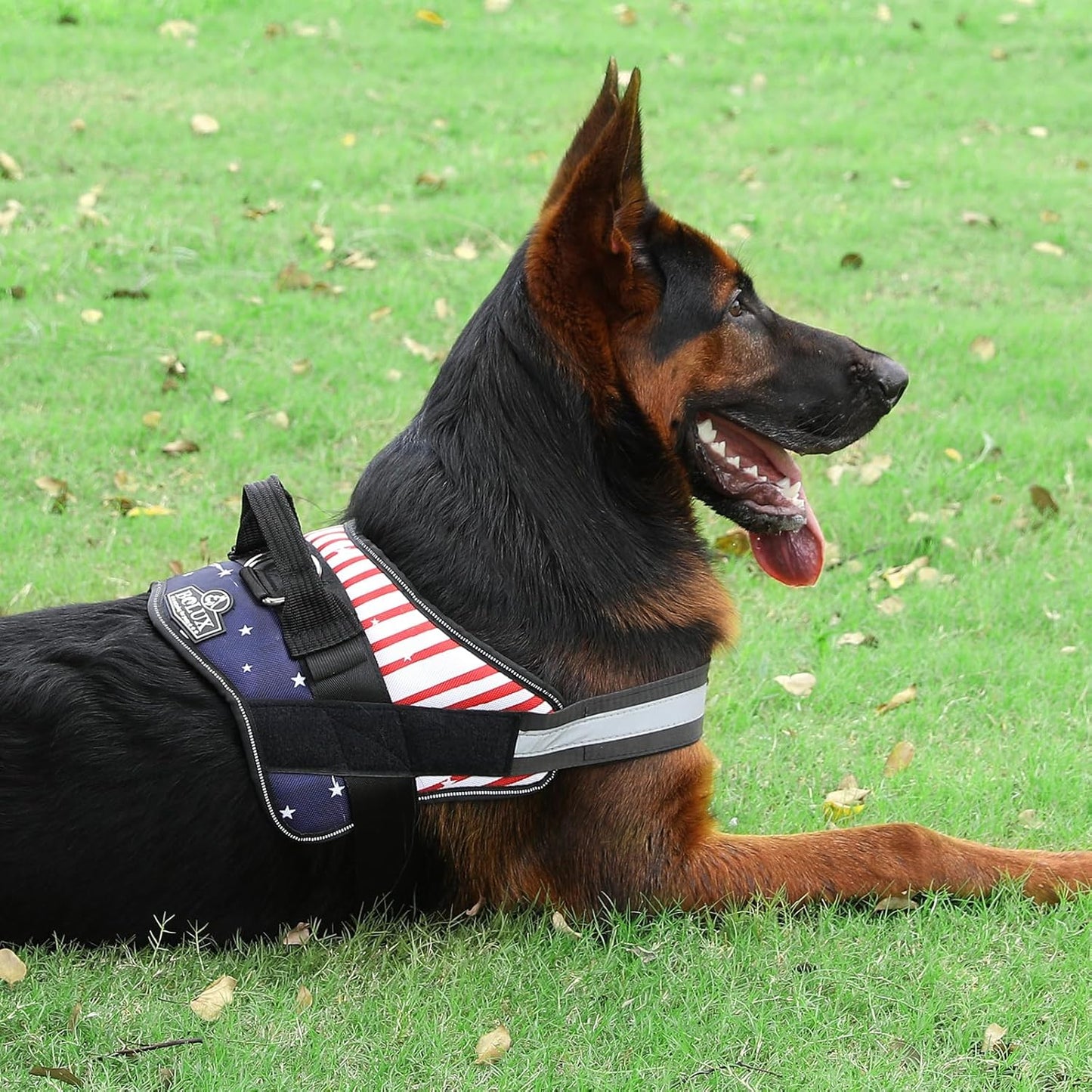 Bolux Dog Harness, No-Pull Reflective Dog Vest, Breathable Adjustable Pet Harness with Handle for Outdoor Walking - No More Pulling, Tugging or Choking (Flag, Medium)