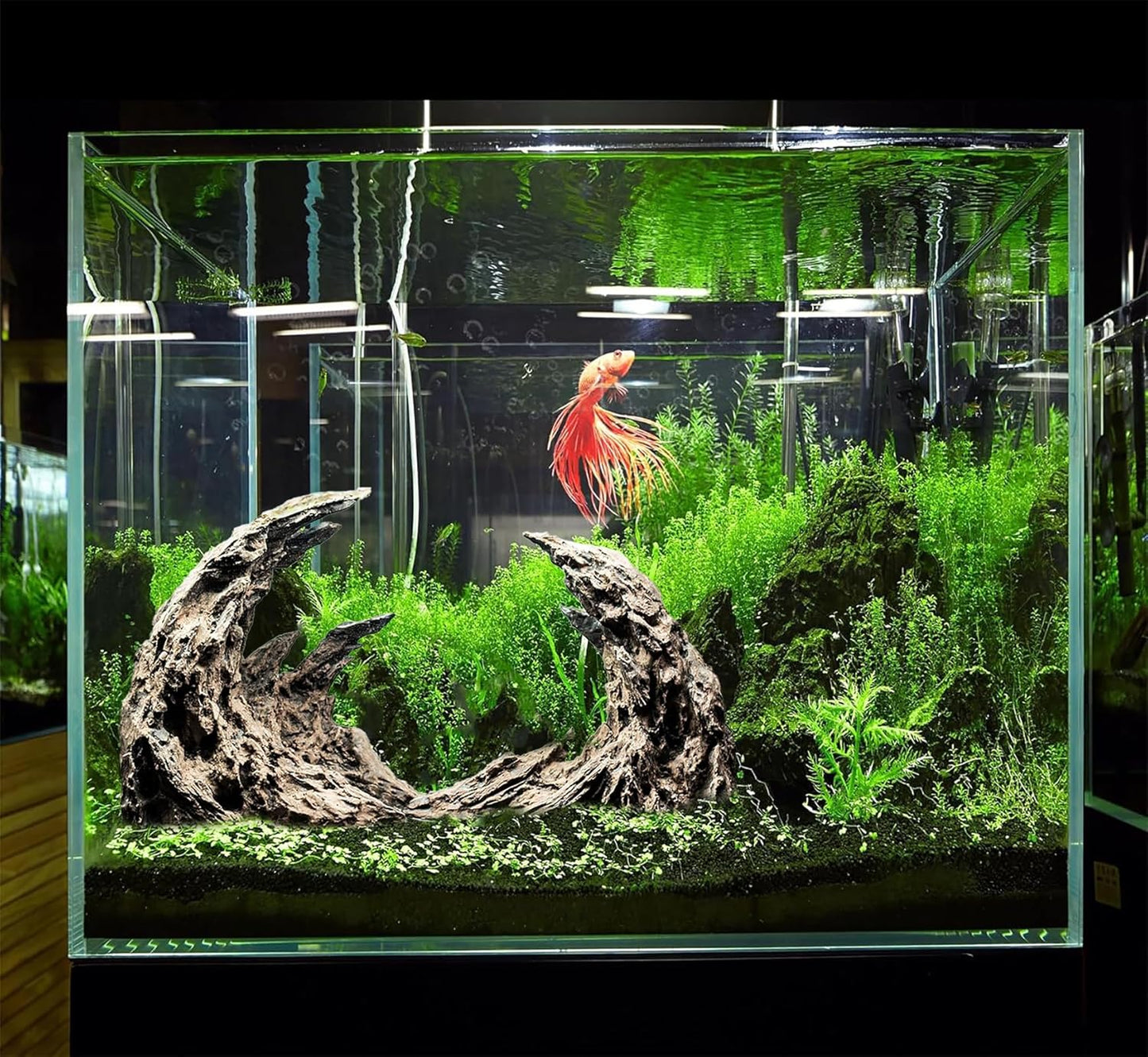 Novelsite Fish Tank Accessories, Aquarium Decorations, Scenery, Rock Ornaments - Create Aquatic Beauty with Premium Aquarium Decorations, 14.4 x 7.1 x 3.34 inches