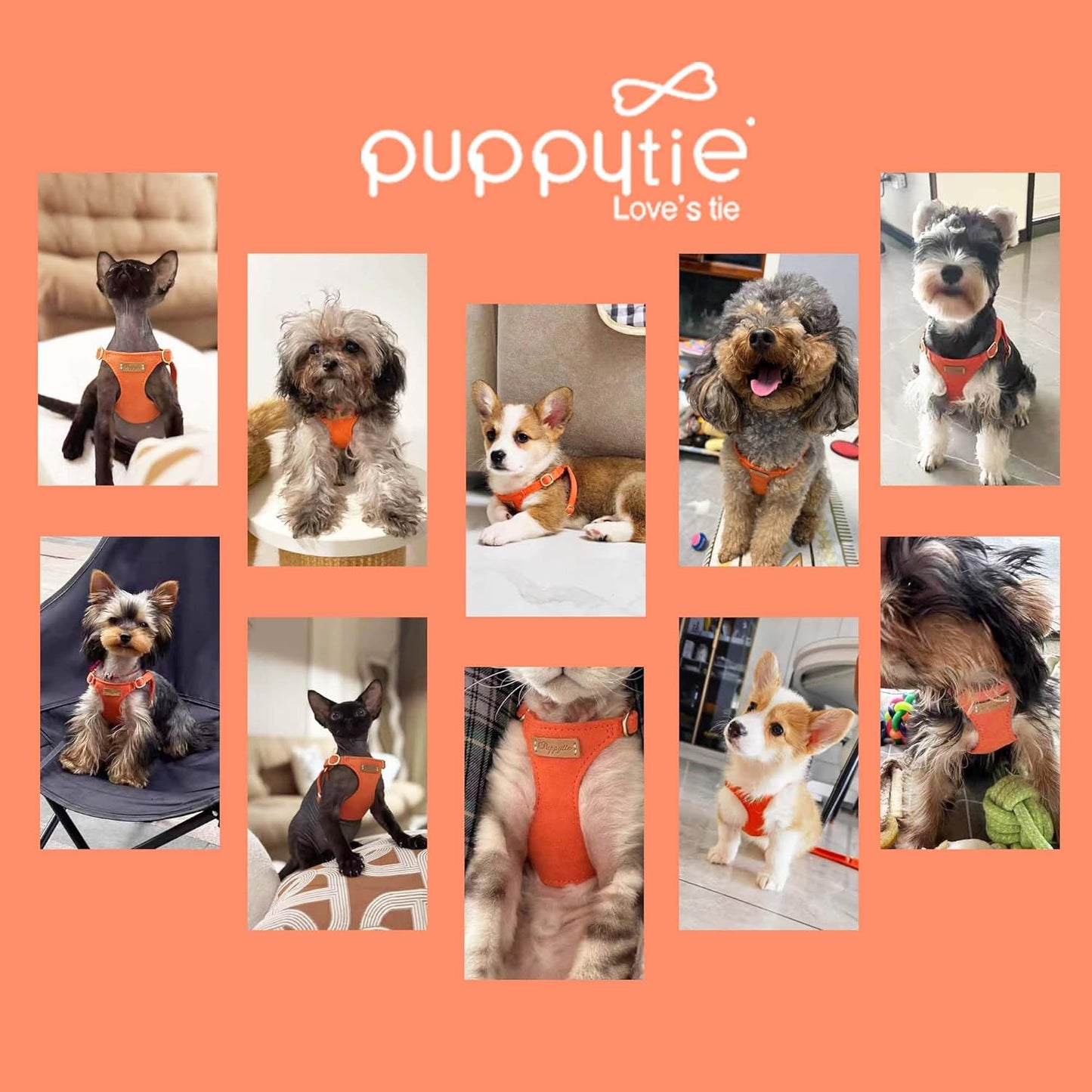 Puppytie No Pull Dog Harness with Multifunction Dog Leash,Soft Adjustable No Choke Escape Proof Pet Harness Vest for Medium Dogs or Large Dogs,Orange,M