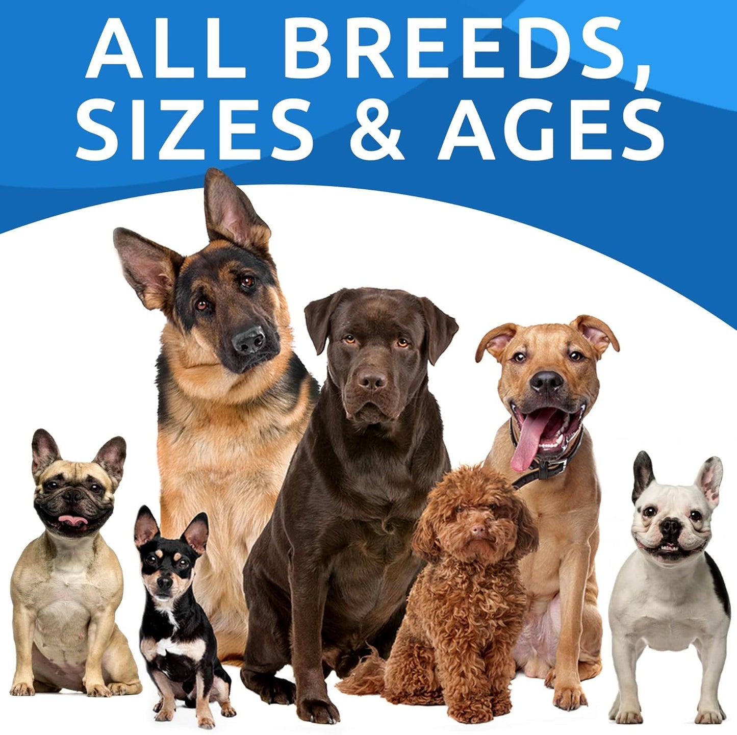 BARK&SPARK Pumpkin Powder for Dogs - 16.2oz Powdered Fiber Supplement and Stool Softener - Upset Stomach, Food Sensitivity - Improve Digestion - 16.2oz Powder