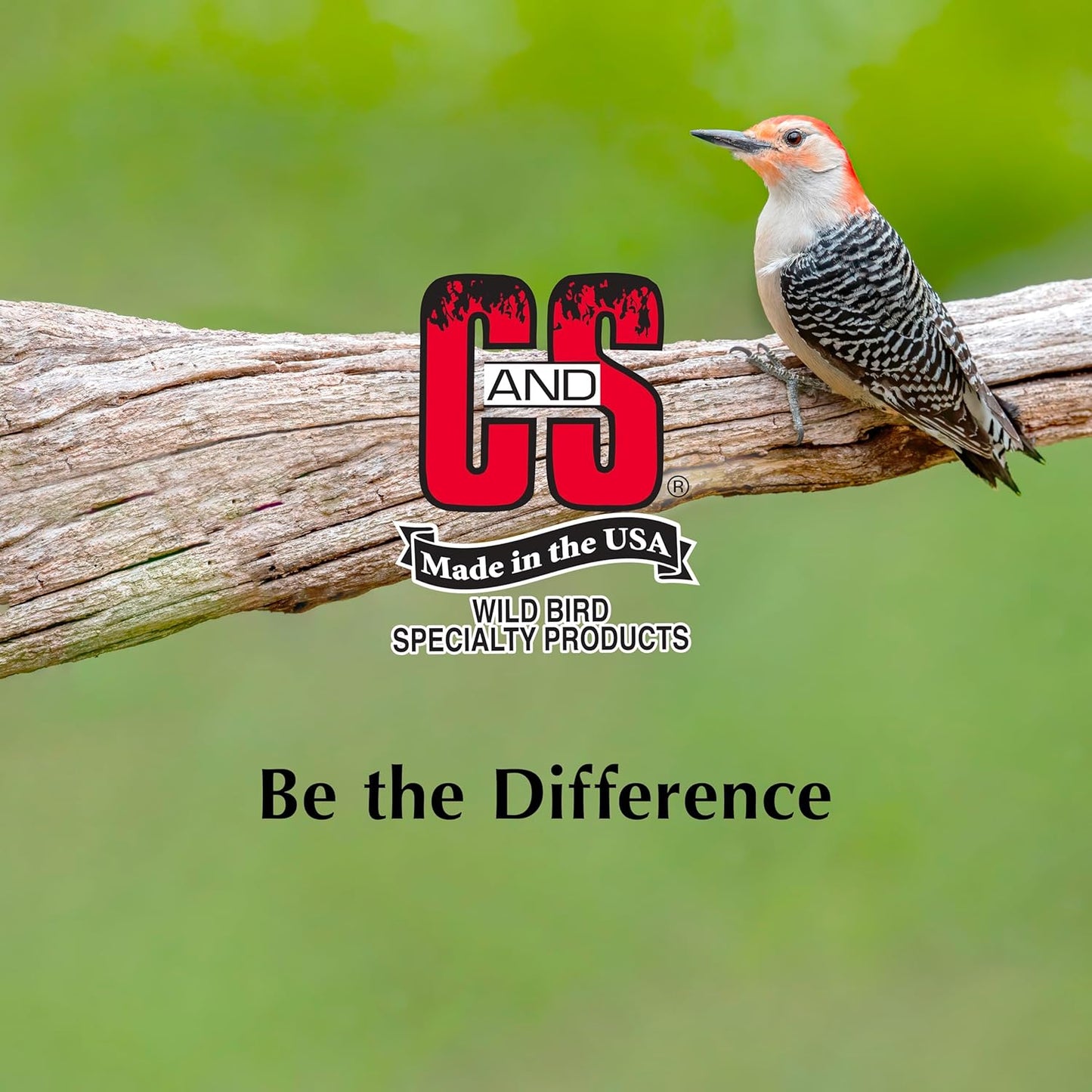 C&S Wild Bird Peanut Suet Nuggets Mega Box, 8 Pounds