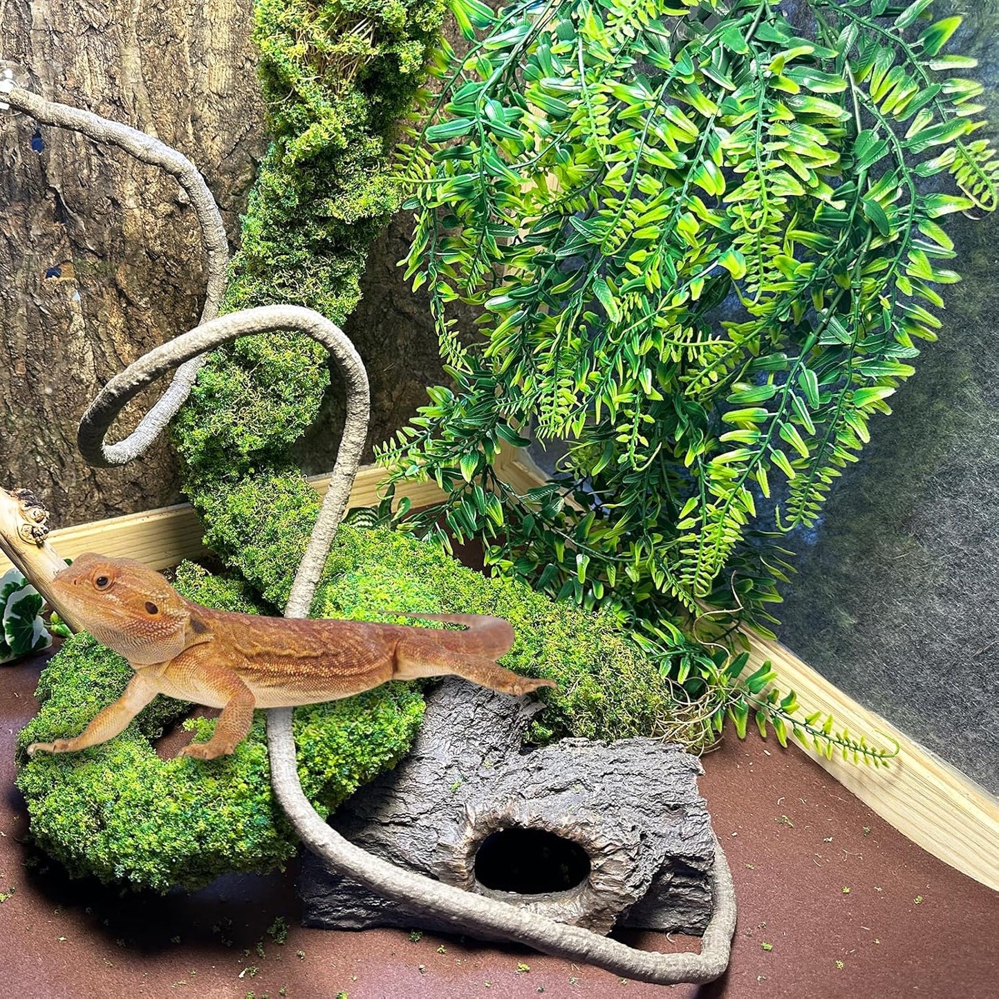 BNOSDM Reptile Plants,Flexible Rainforest Vines with Moss,Bendable Jungle Climbing Vines,Terrarium Artificial Plants Decor for Bearded Dragon,Hermit Crab,Snake,Geckos,Chameleon,Lizard