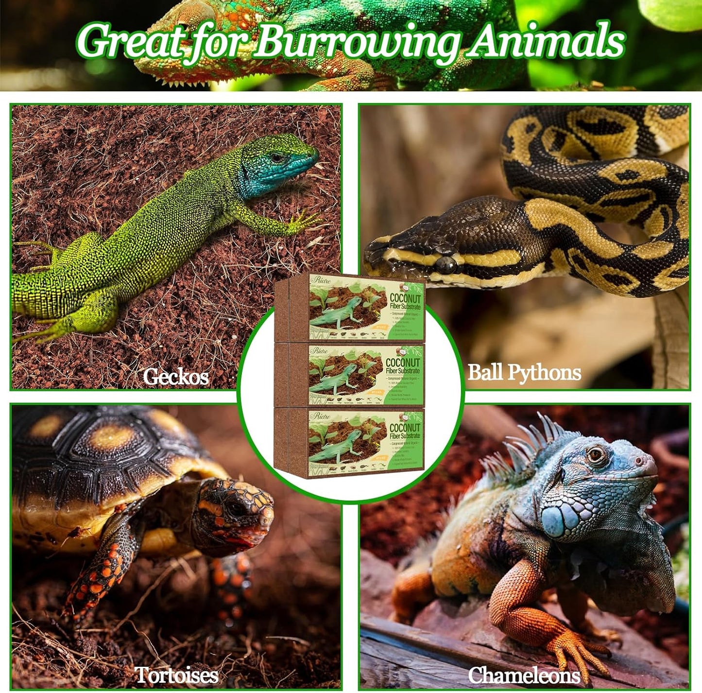 Riare 6 Pack Natural Coconut Fiber Substrate for Reptile- Premium Compressed Coconut Husk Terrarium Bedding for Reptile, Tortoise, Frogs, Snakes Hermit Crabs, Burrowing Animals